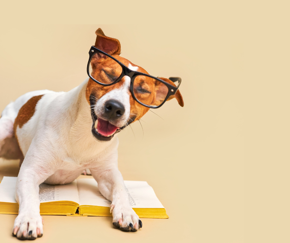 You Don’t Need to Reinvent Yourself. You Just Need to Recalibrate.