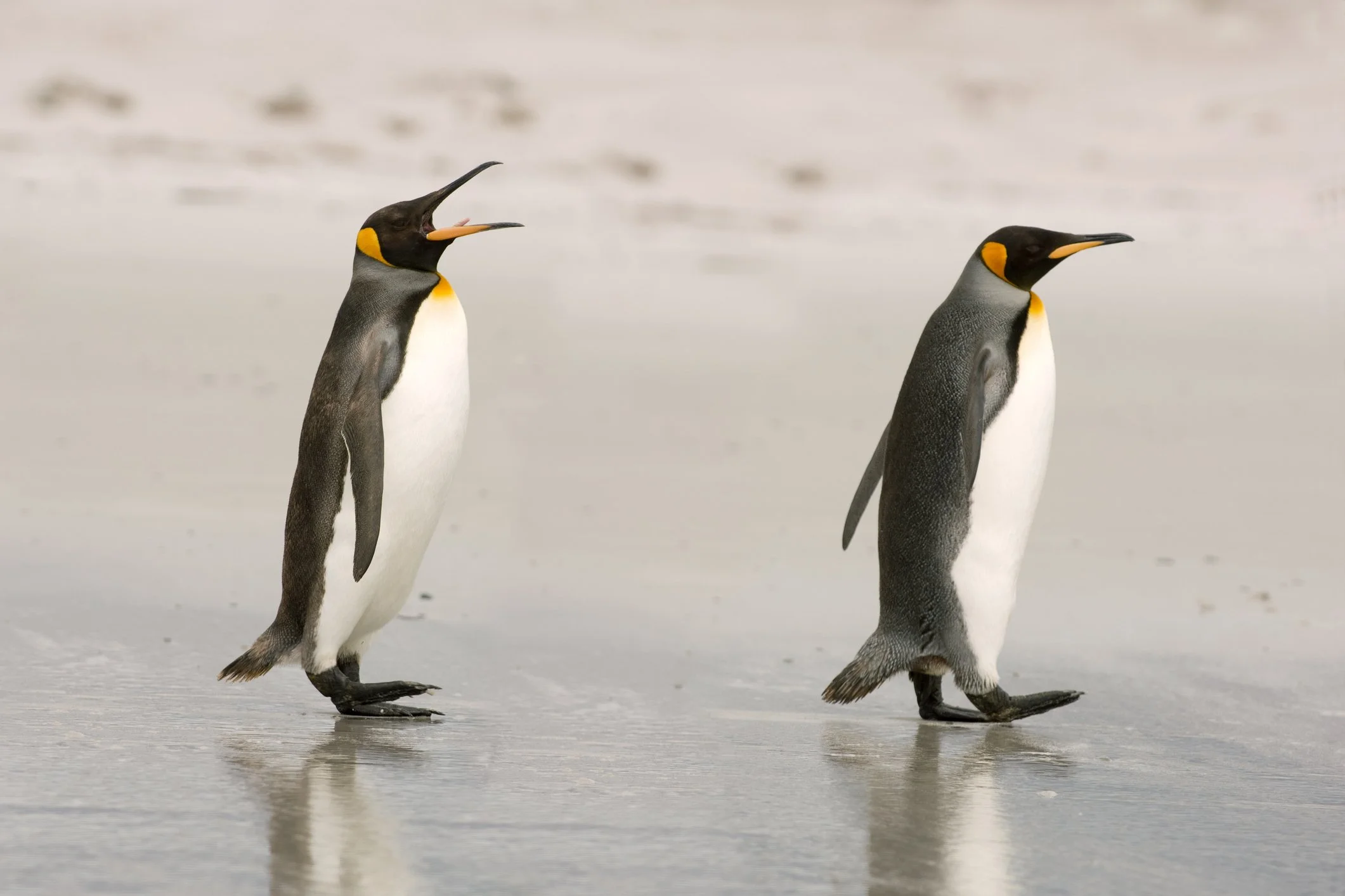 Love and Politics- setting boundaries to de-escalate conflict