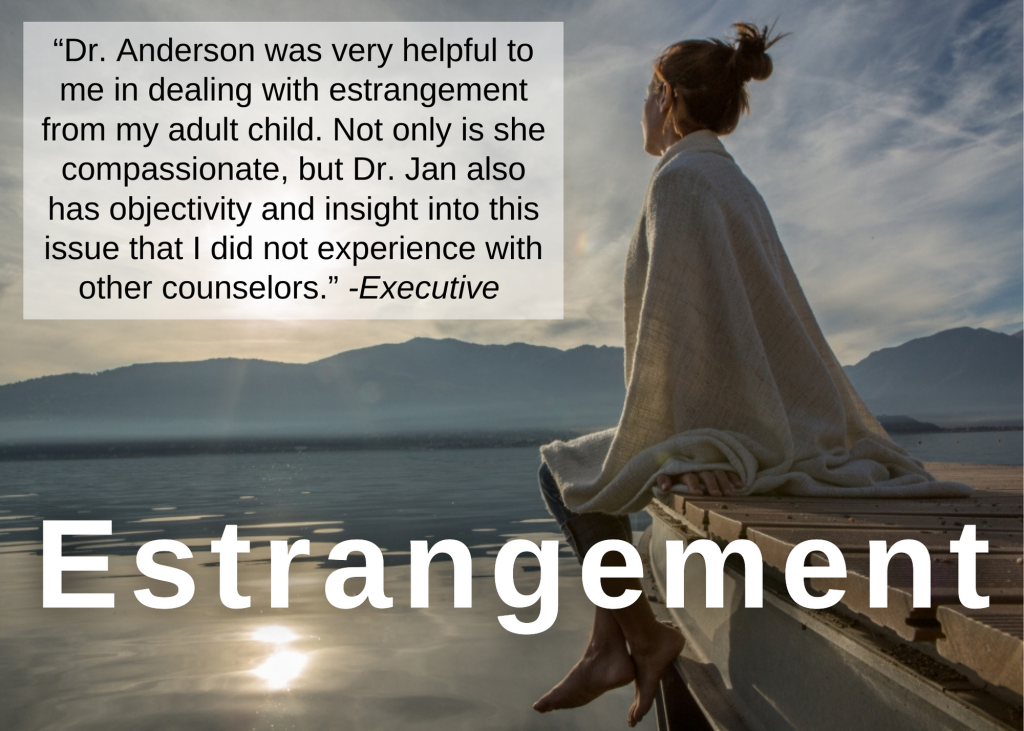 Estrangement Coaching Testimonial for Dr Jan Andeson