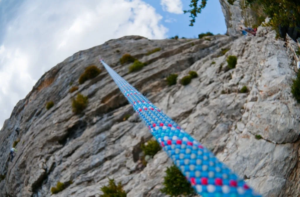 professional development