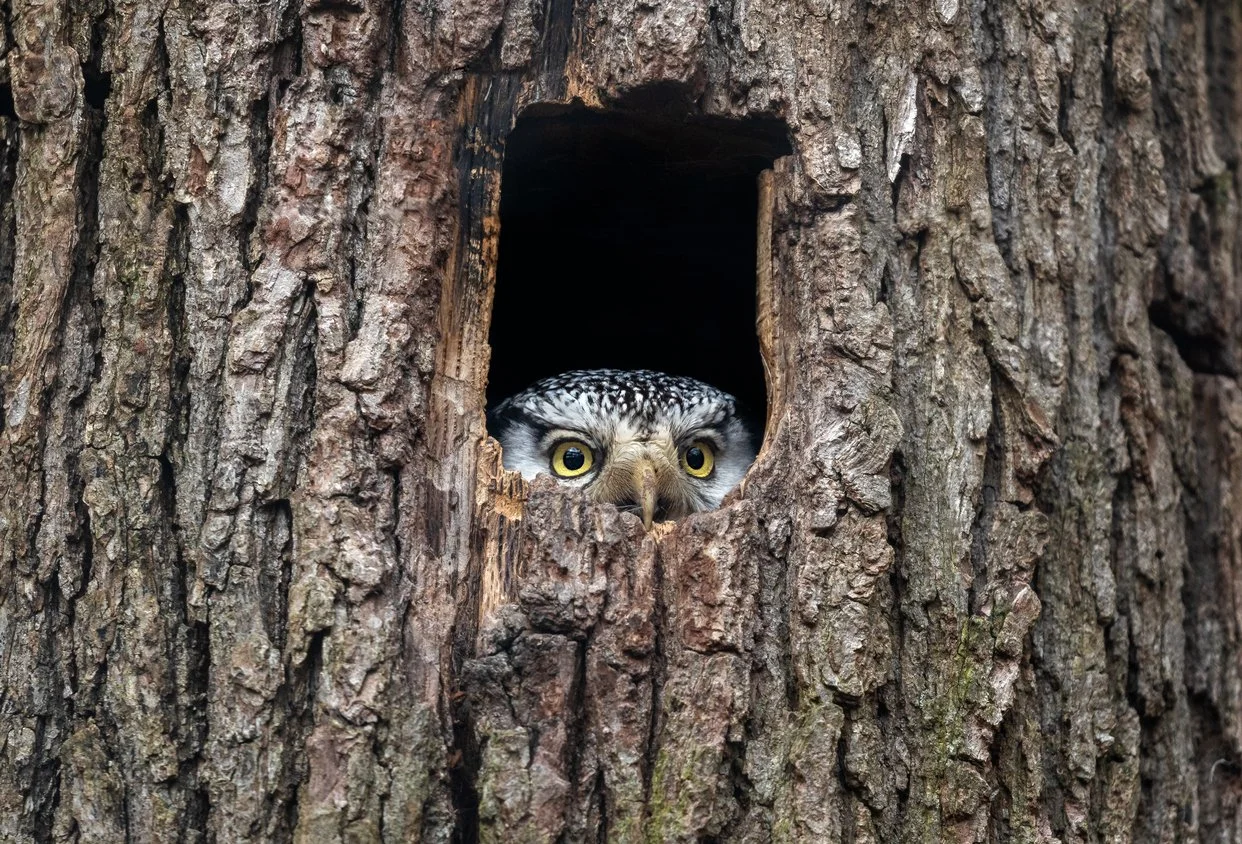 Modern motherhood challenges