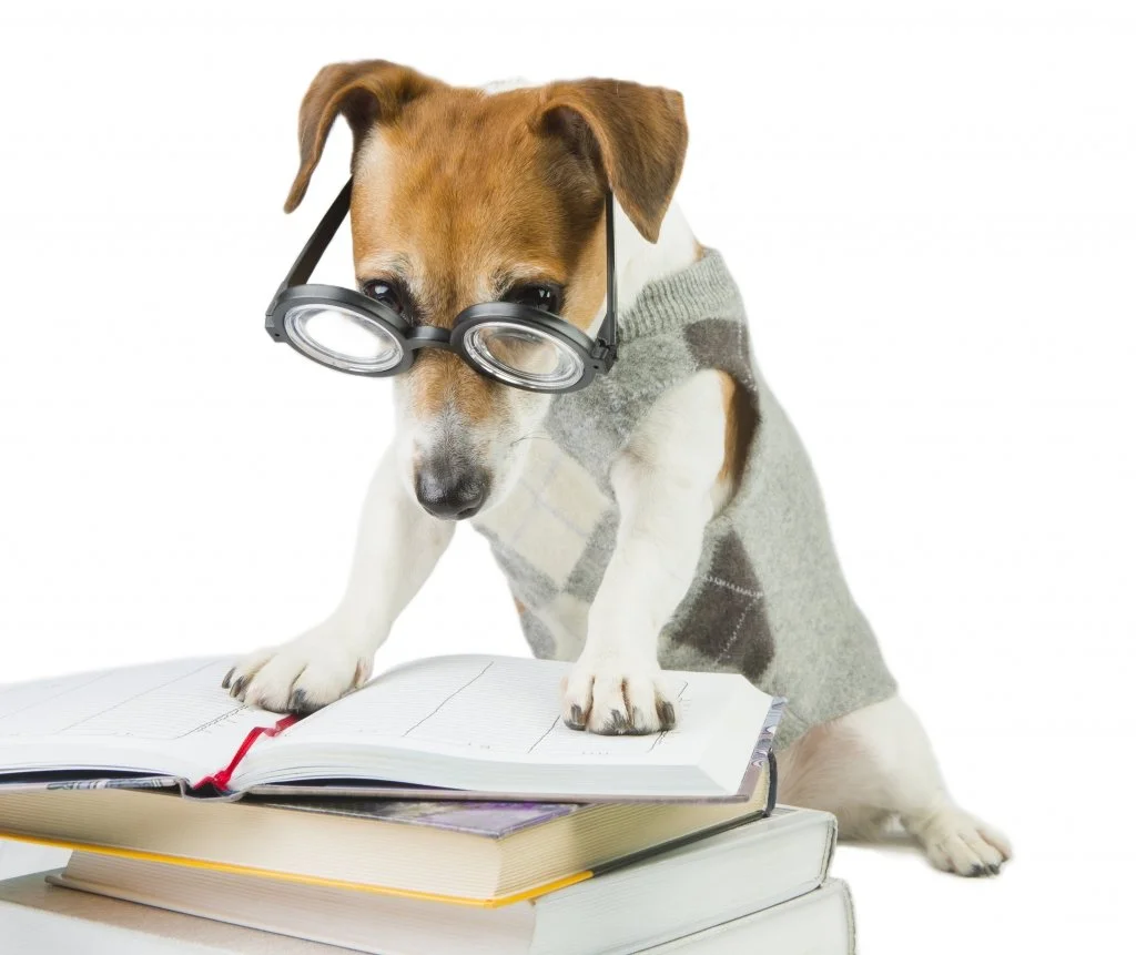 therapy for perfectionists