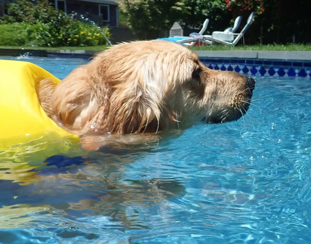 mental health support