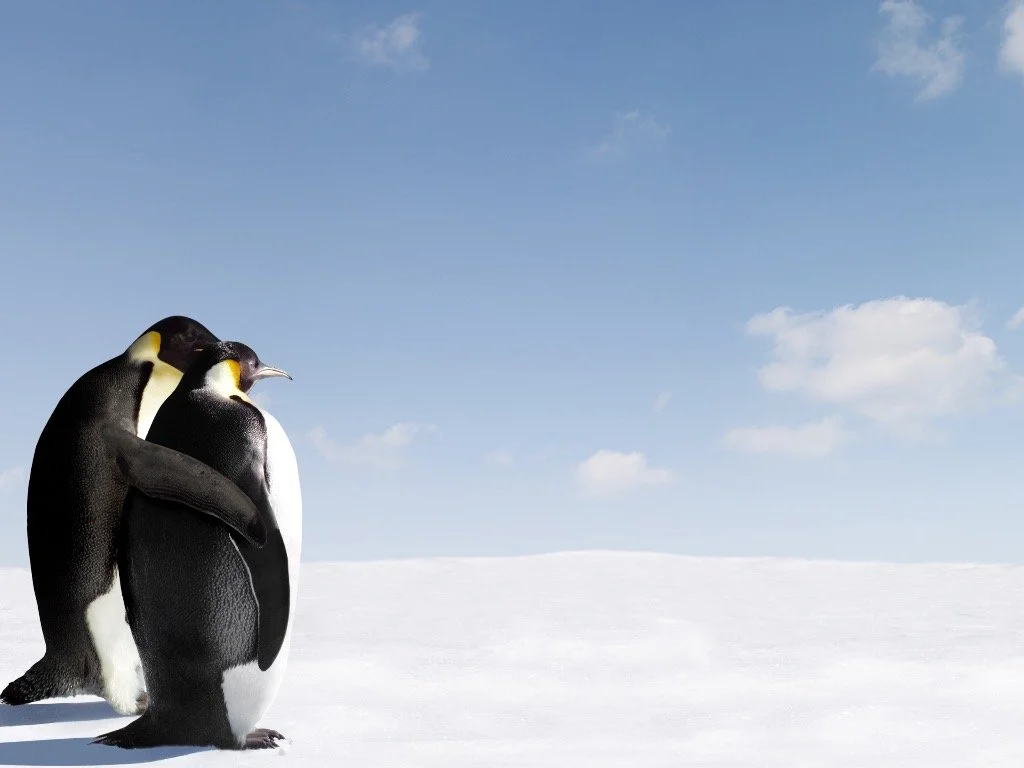 Neuroscience of trust