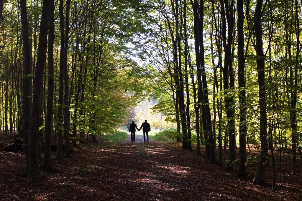 Family reconciliation