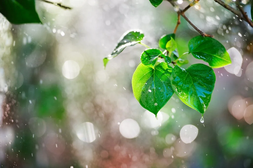 Therapy for behavior change