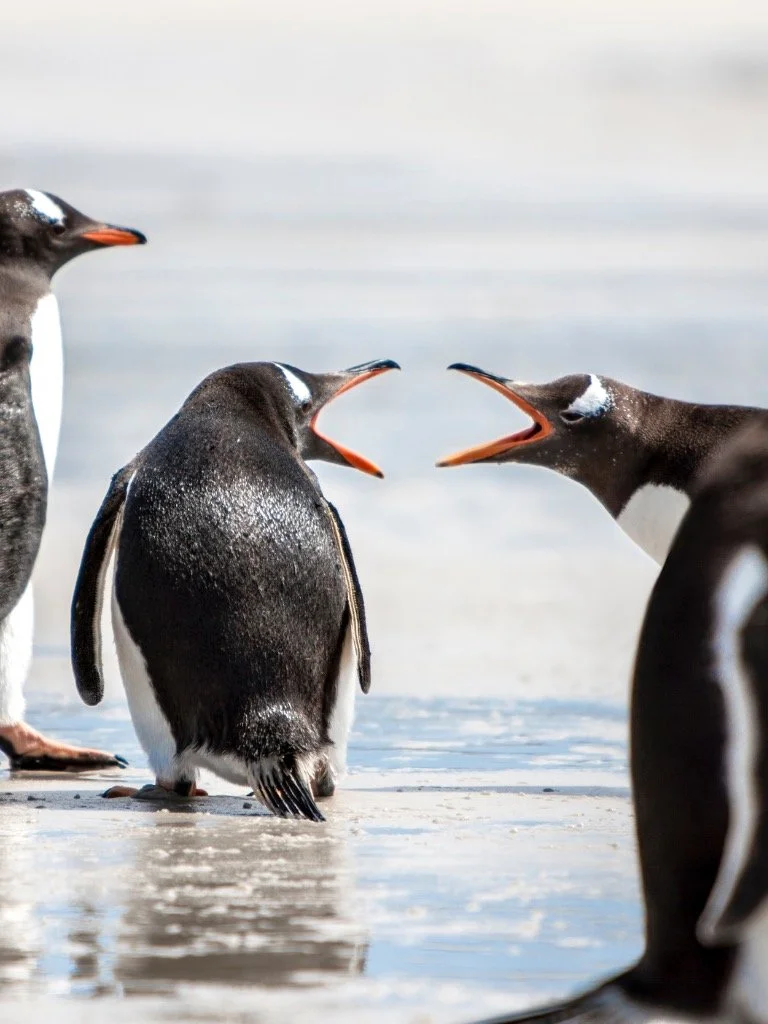 Difficult conversations