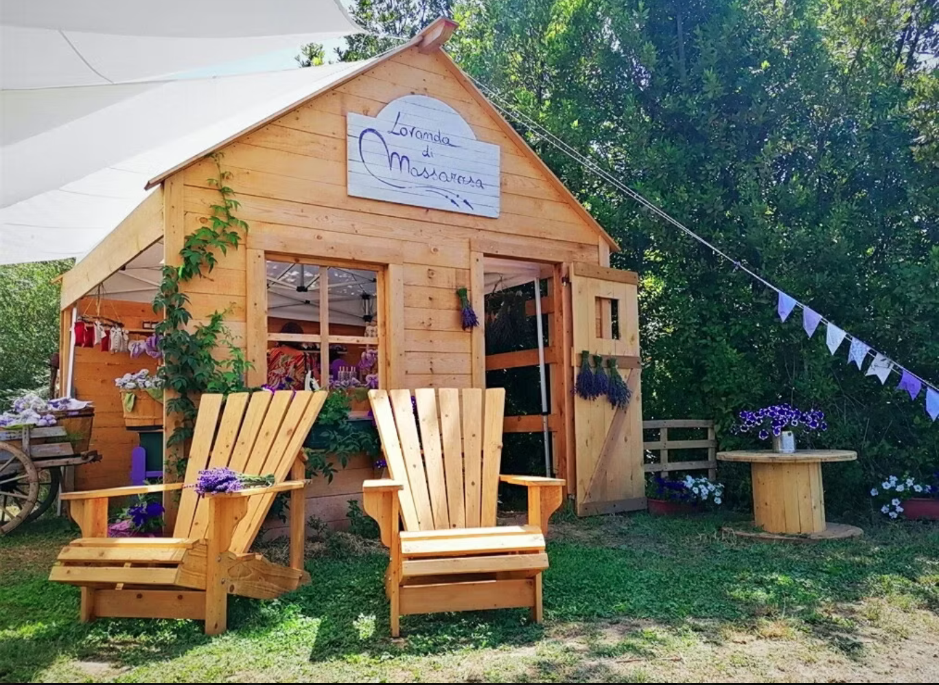 Musical Evenings in the Lavender Fields 