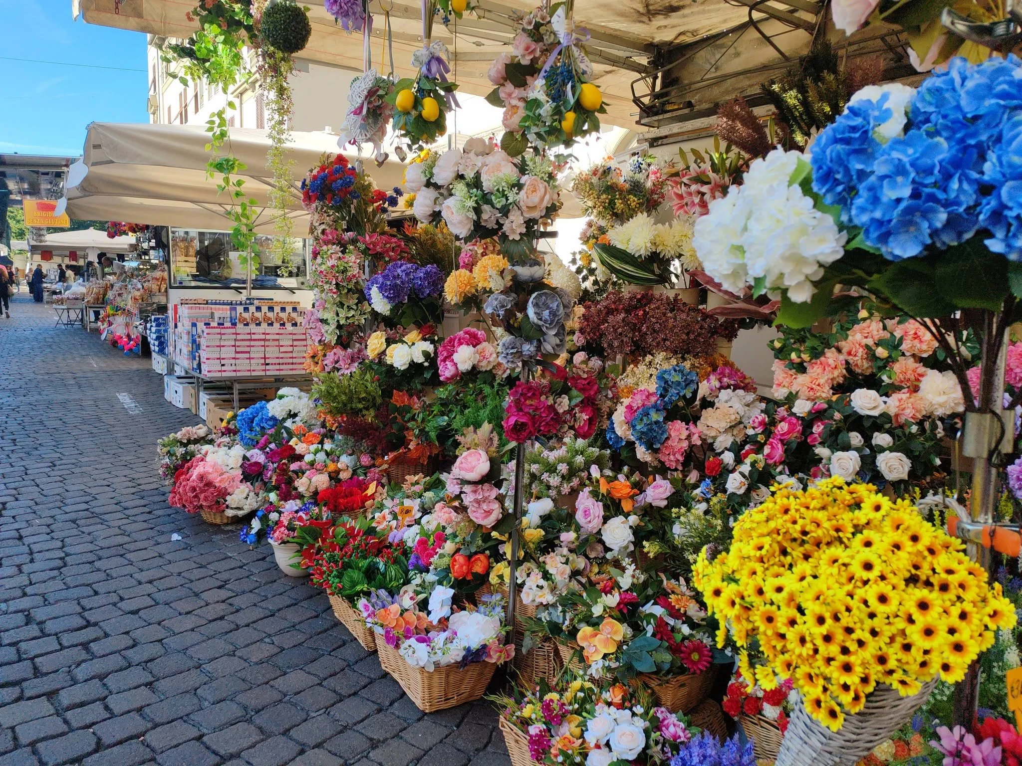 BG fair 2.jpg