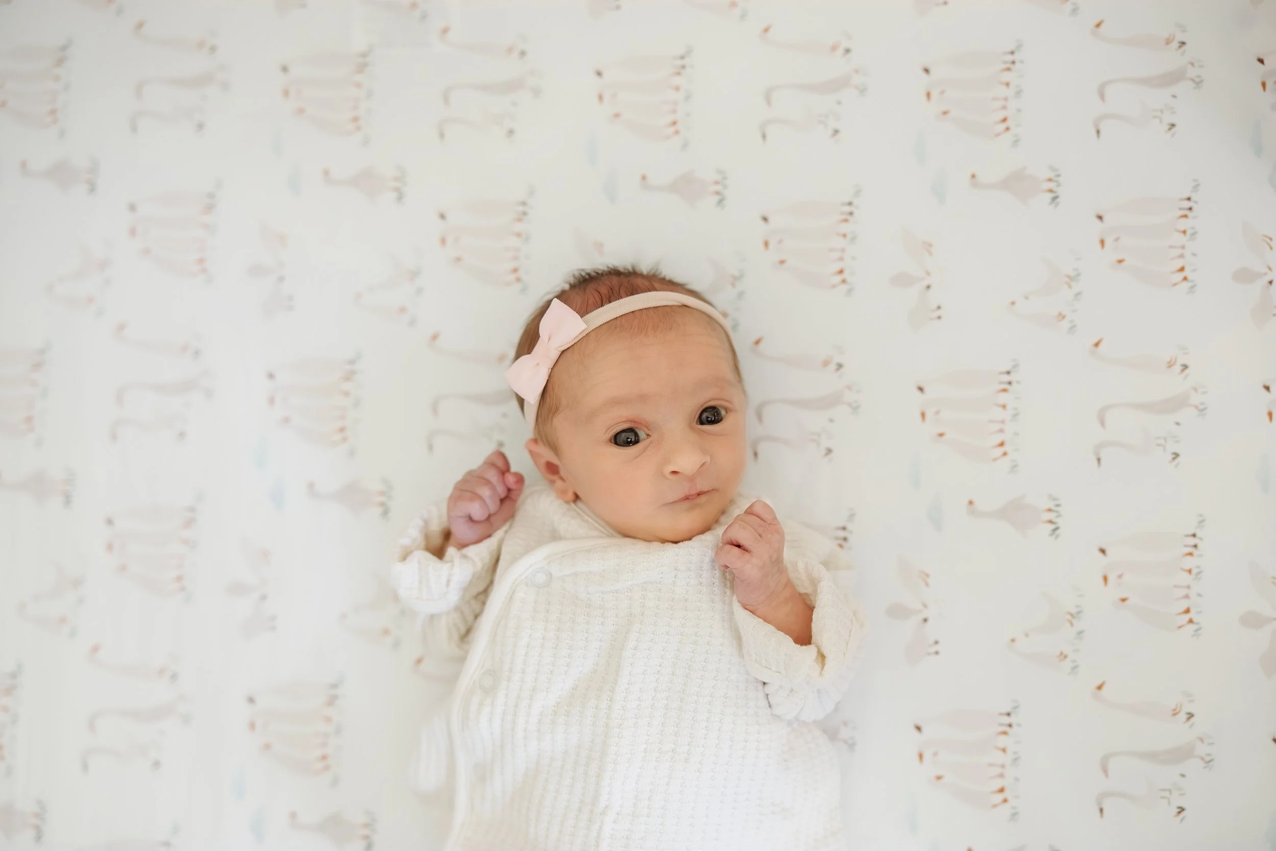 Sleepy vs. Awake Newborn Photos: How to Capture Beautiful Images No Matter Your Baby's Mood
