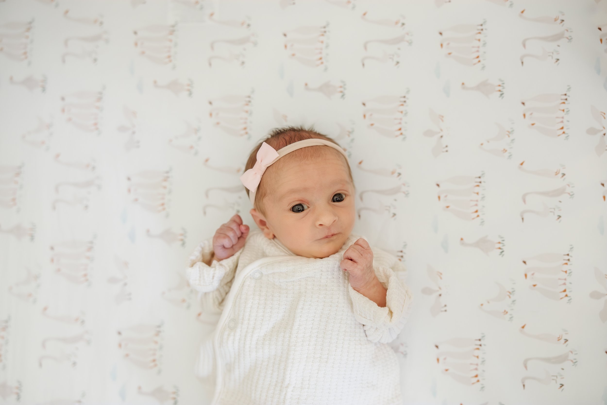 Awake newborn baby with eyes open during lifestyle newborn photography session in Southern New Hampshire.