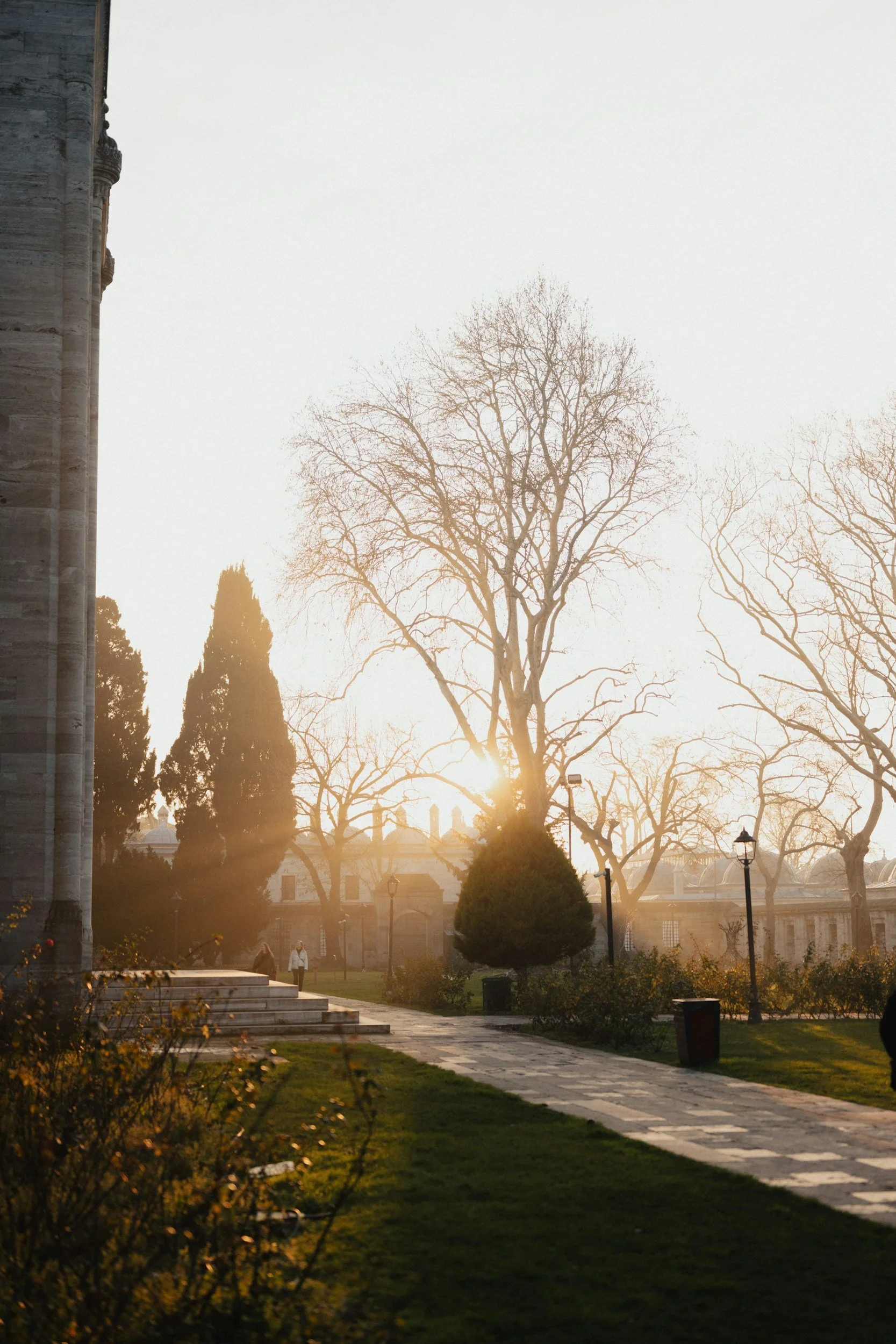 Sunlit formal garden path at golden dawn — a calming symbol of the healing journey