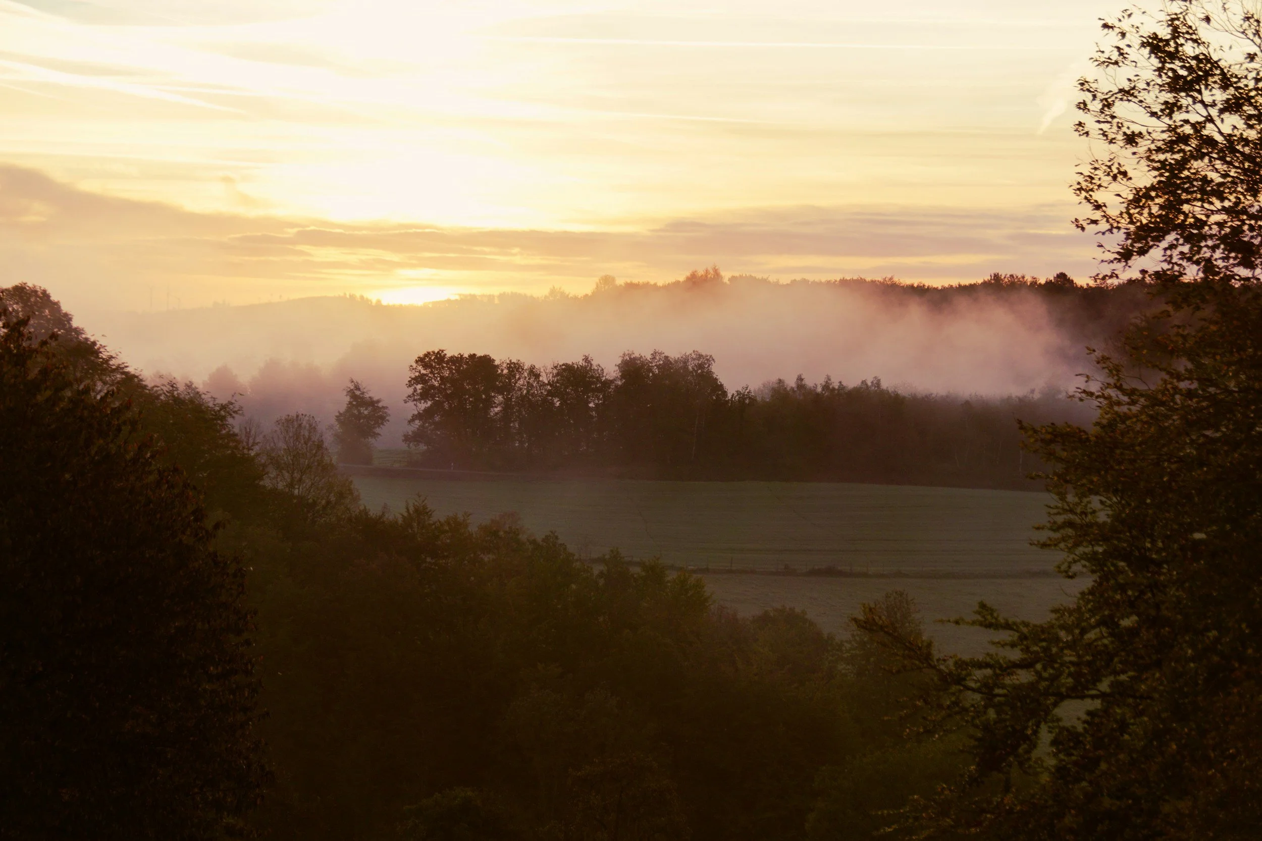 Misty golden sunrise over rolling hills — individual therapy for trauma and recovery in Santa Fe