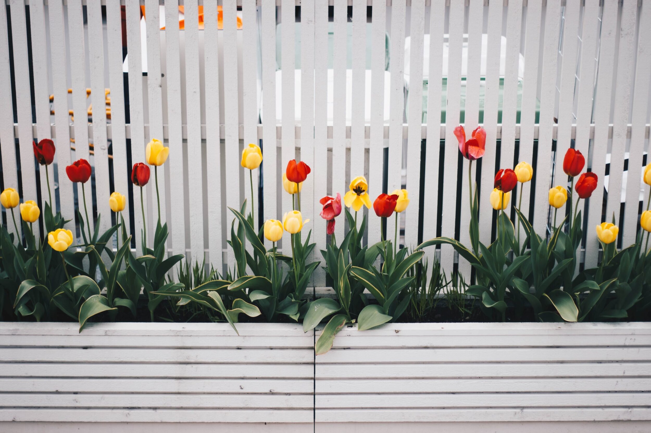 How Setting Your Boundaries Empowers Your Child