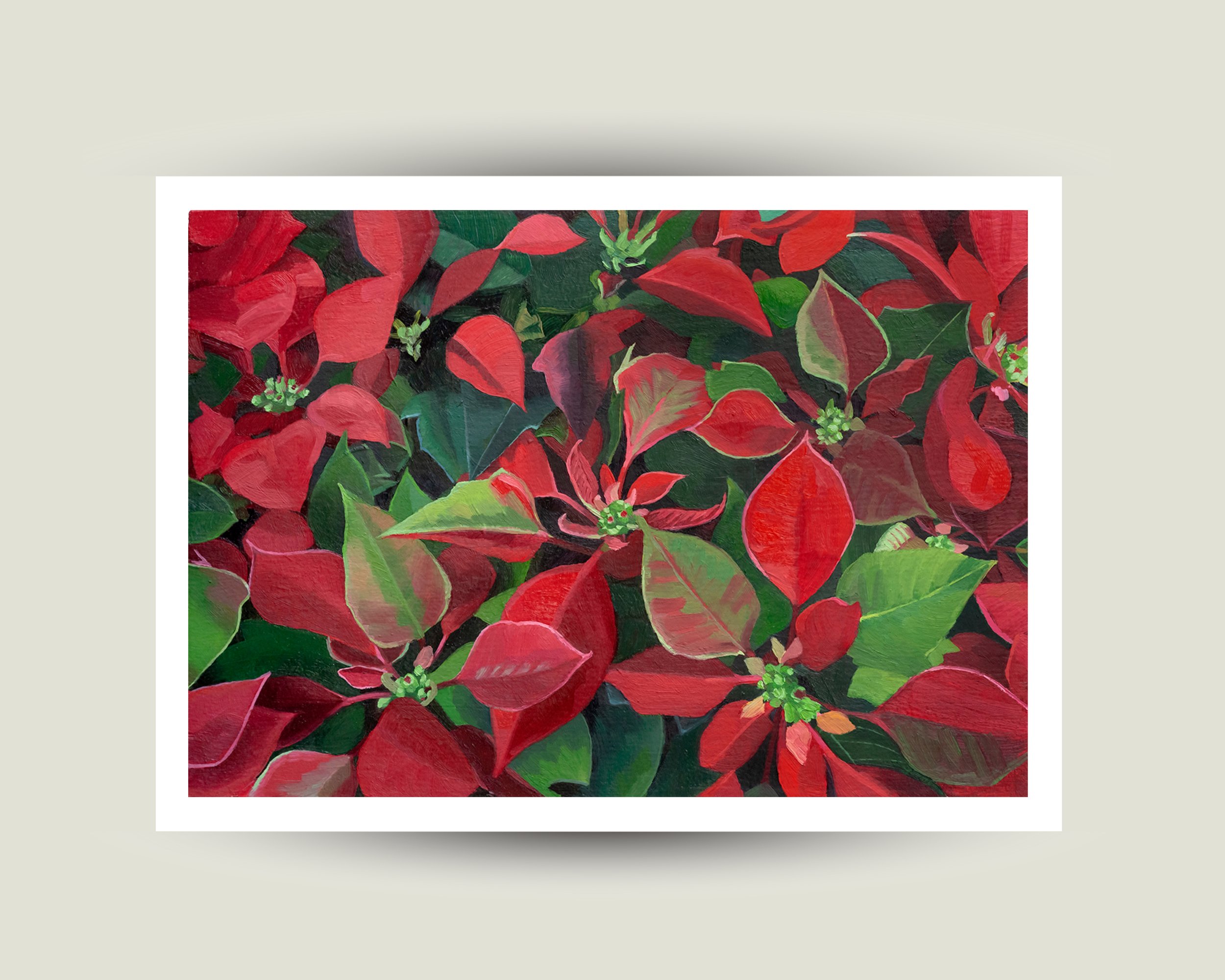 Poinsettias • Paper Print