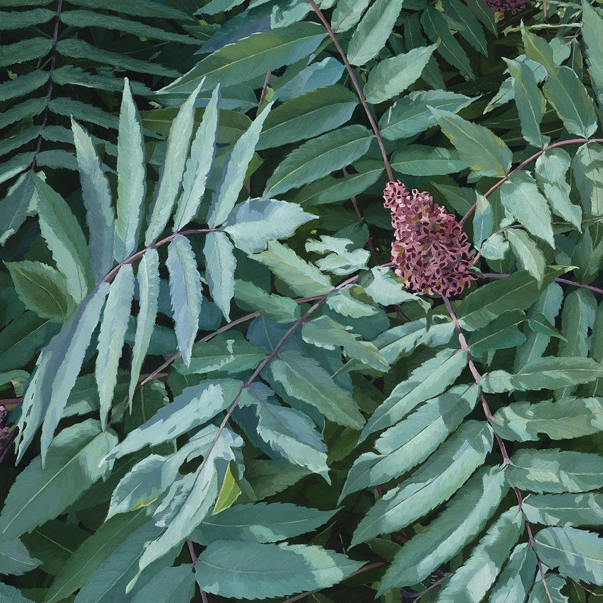 Summer Sumac Ver1 web.jpg