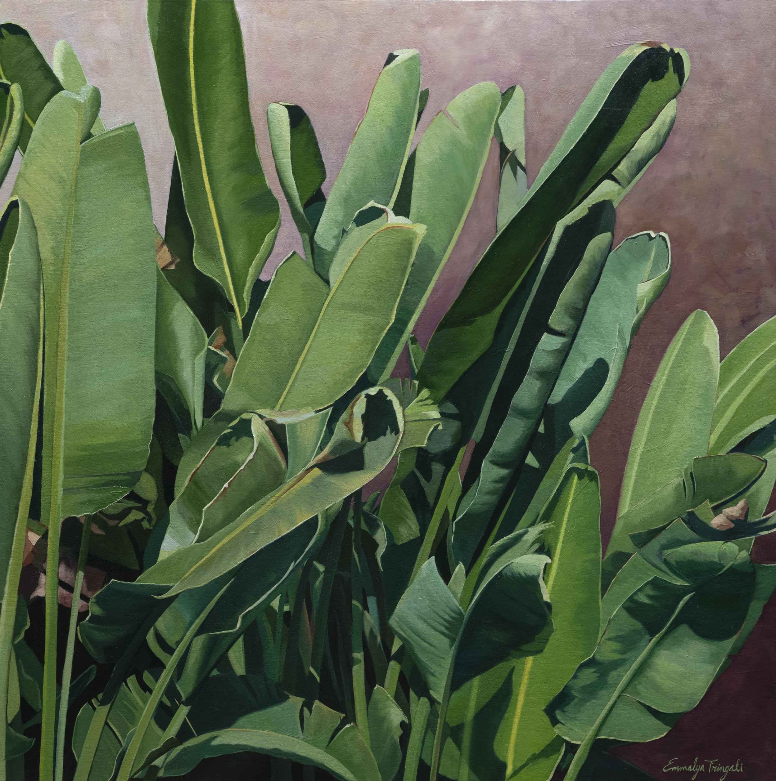 BananaLeaves.jpg