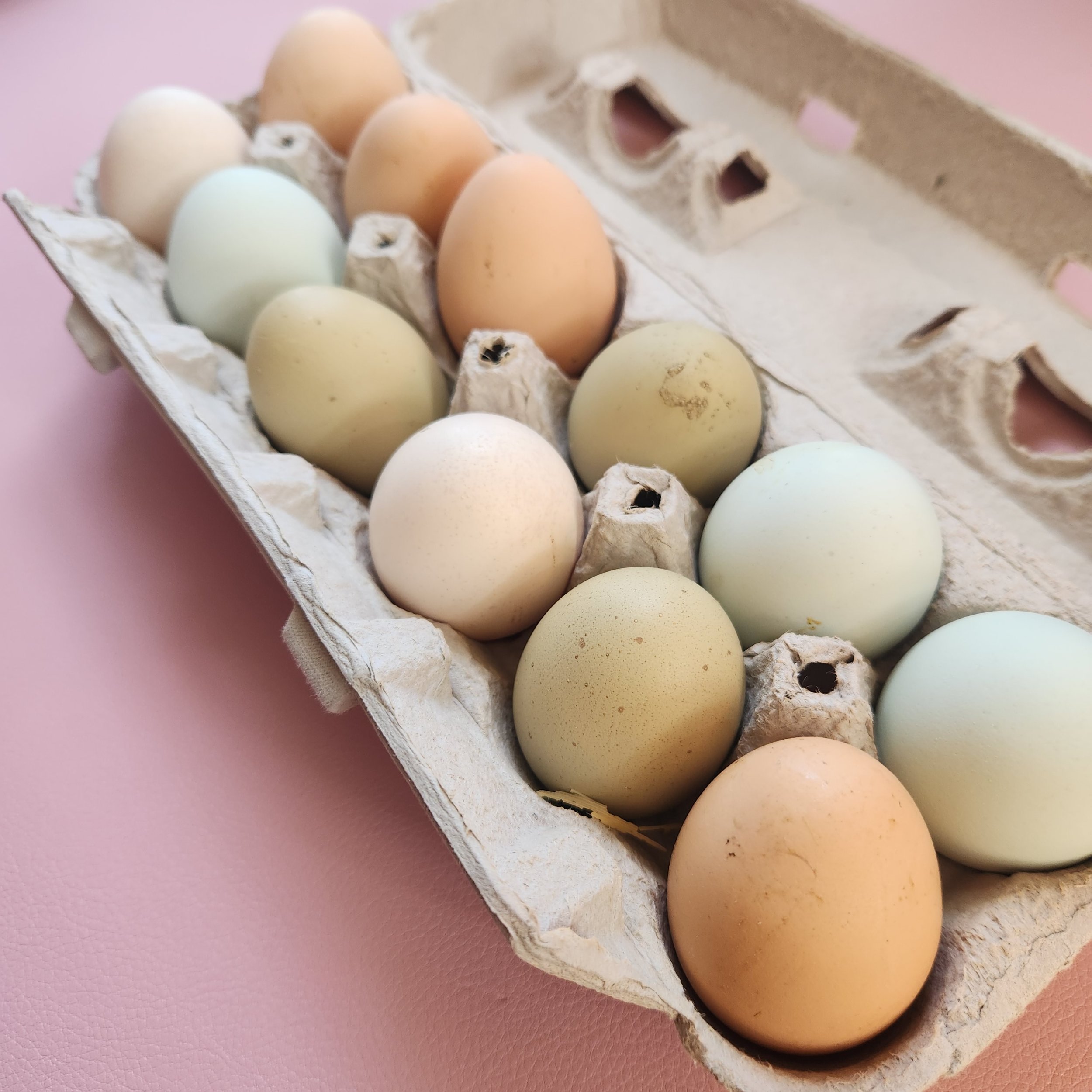 Eggs