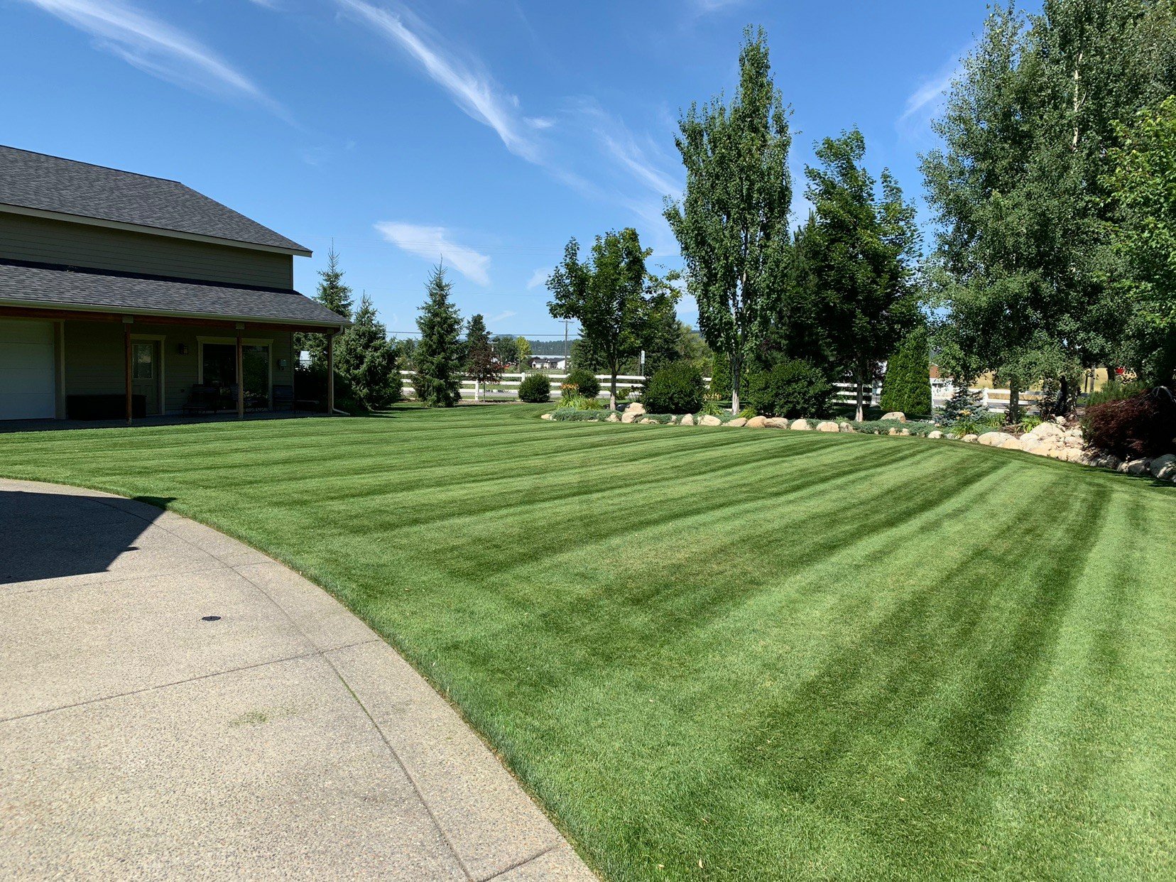 polo back yard.jpg