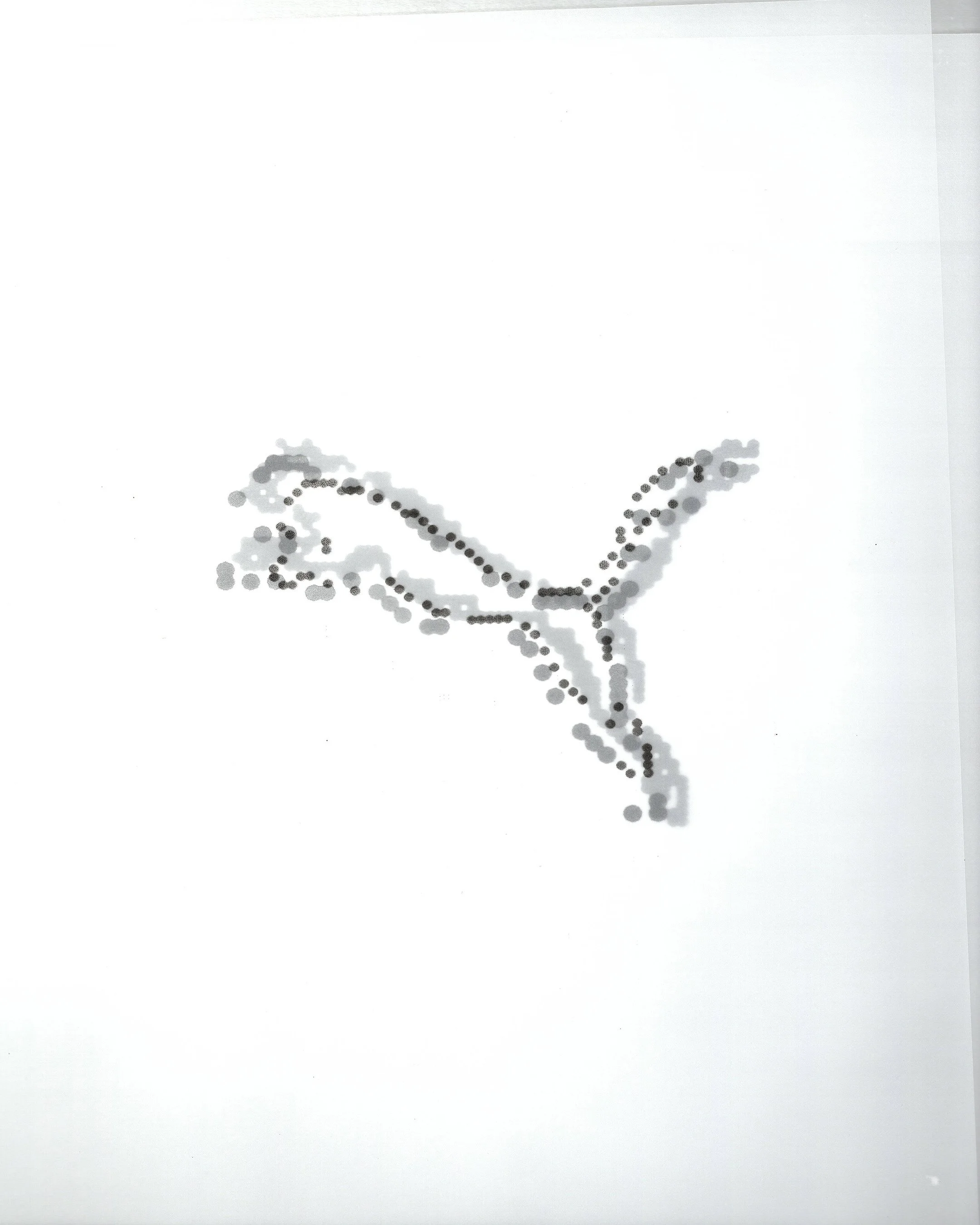 SCOOT x PUMA logo.jpg