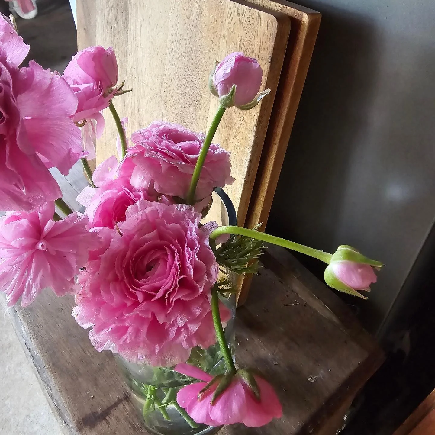 Just a few pretty pink #ranunculus rescued after the horses decided to weed the garden for us 🤣
#cottageflorist #pinkflowers #springflowers #simpleflowerarrangement #pinkranunculus