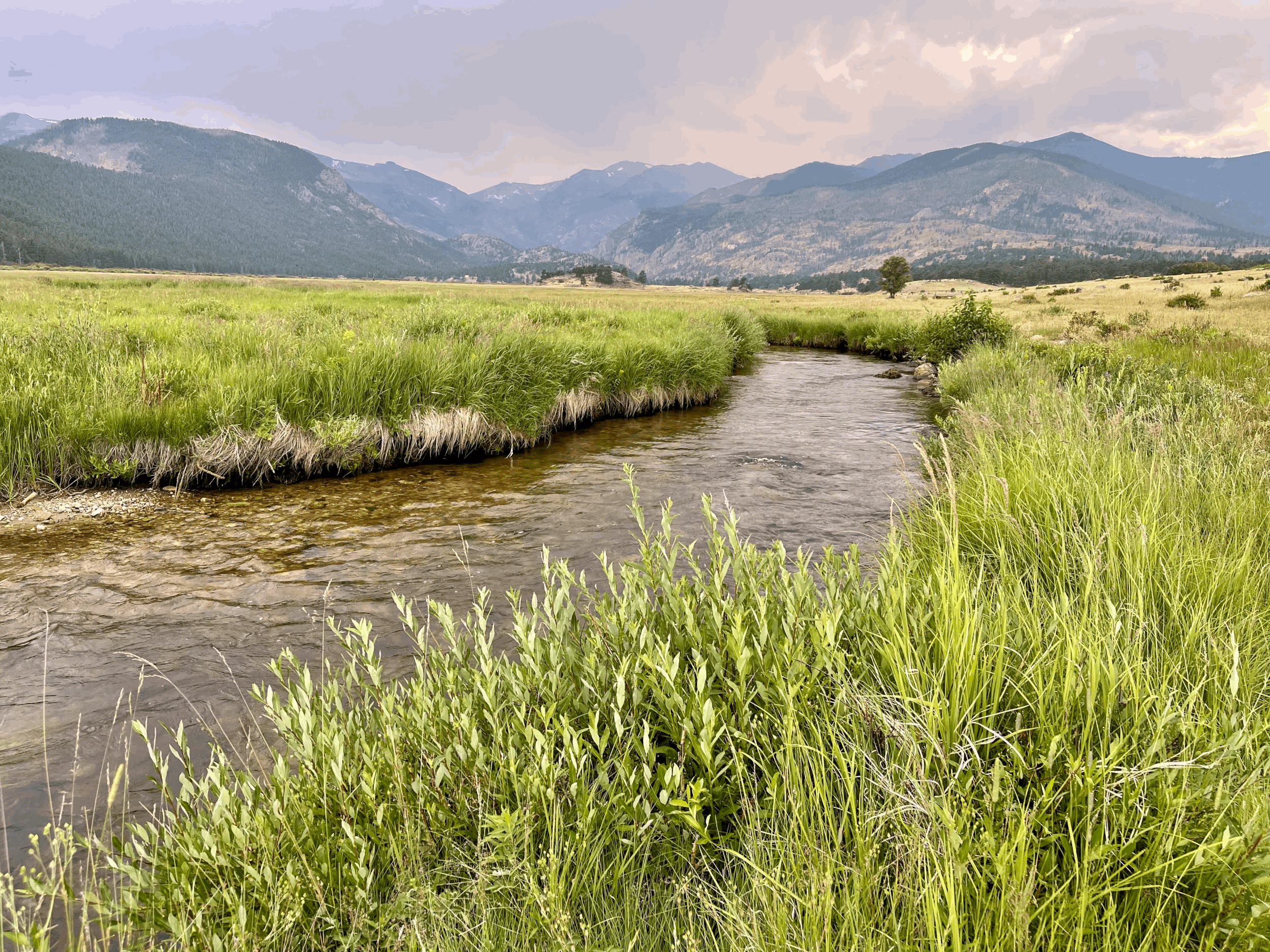 Gather. Explore. Belong. wilderness therapy workshop