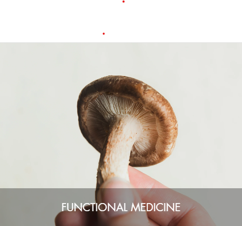 Close-up of a hand holding a mushroom with a dark brown cap and stem, against a plain white background.