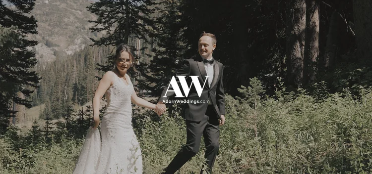 Wedding film highlight