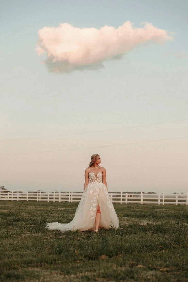 Jacqueline and Michael June 2025 Adorn Weddings Photo & Video