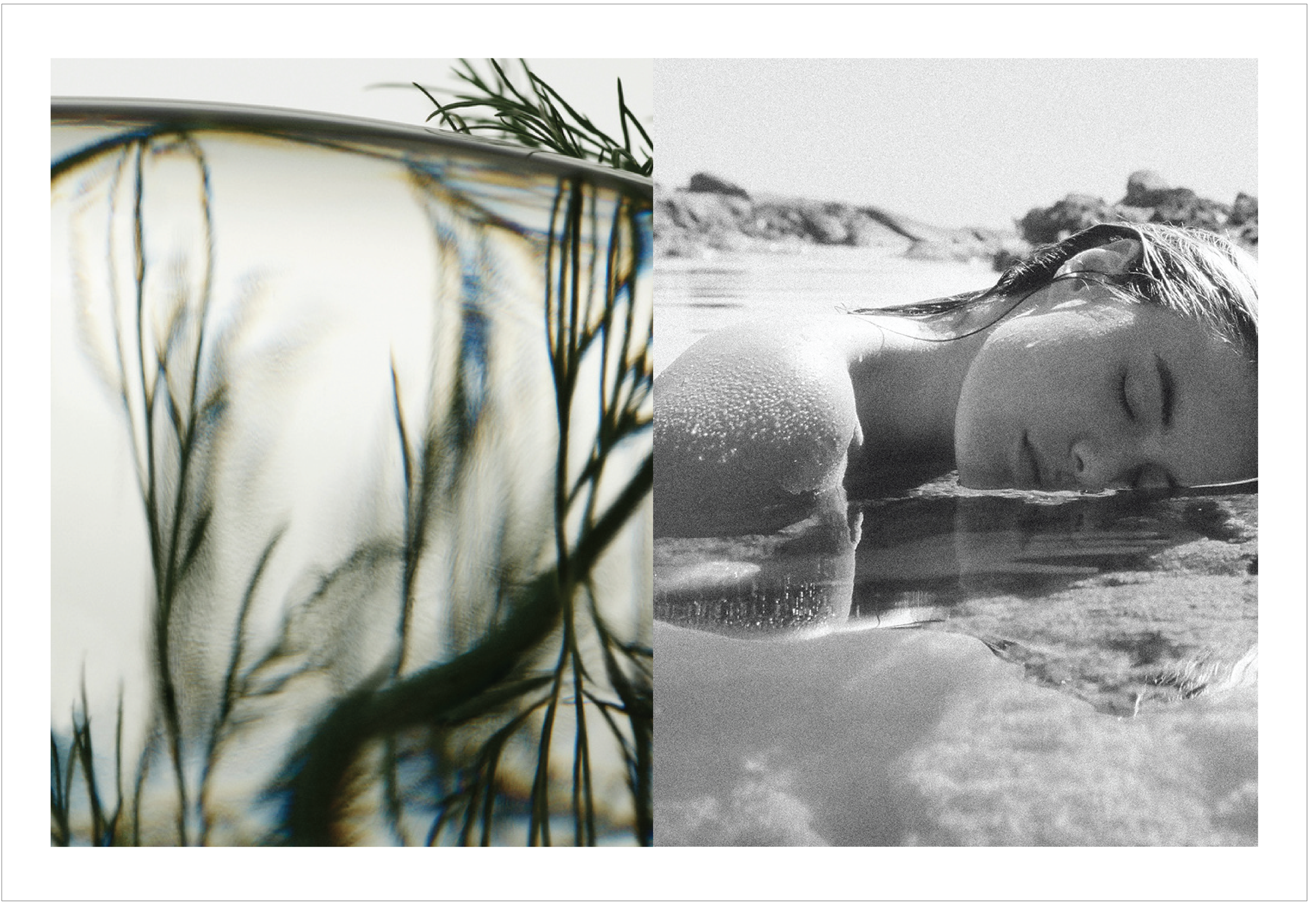 PELOTON 25-26 PORTFOLIO 404-03.png