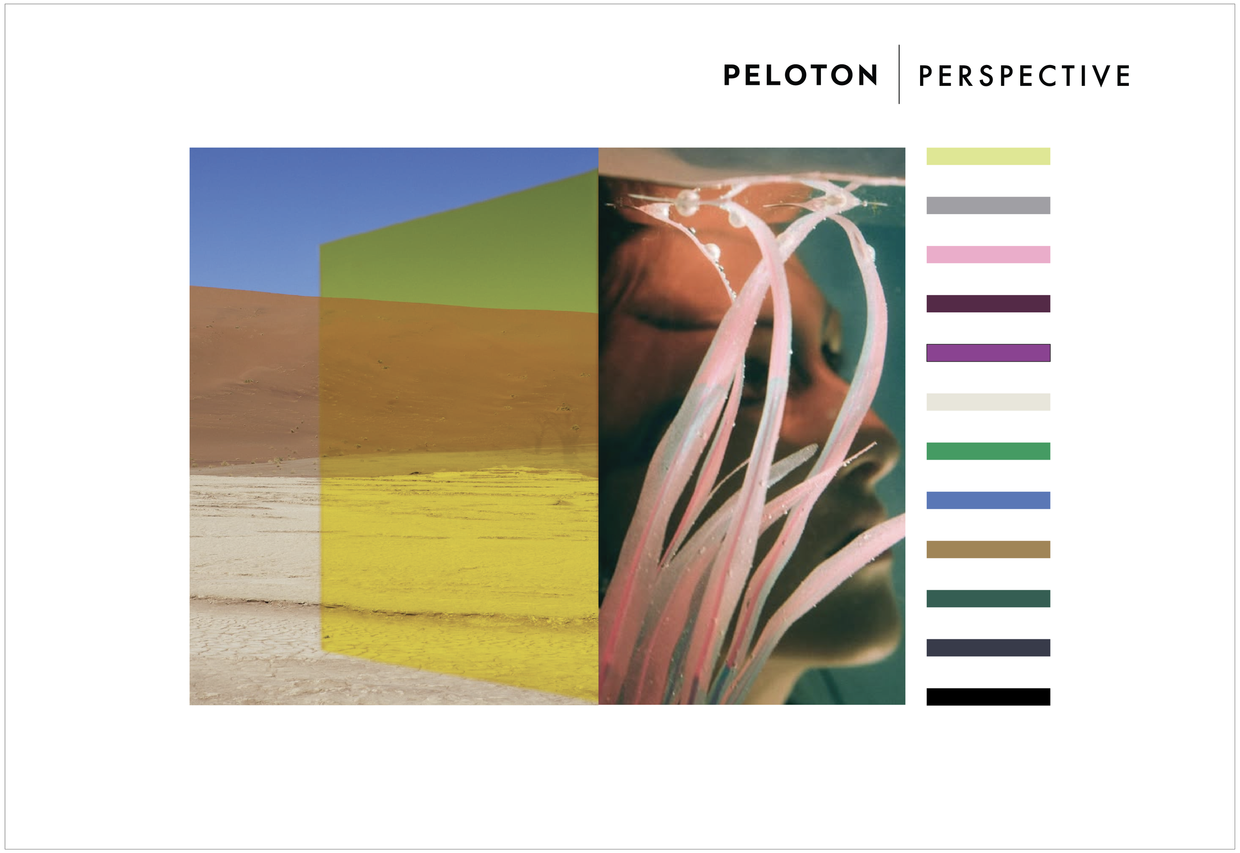 PELOTON 25-26 PORTFOLIO 404-11.png