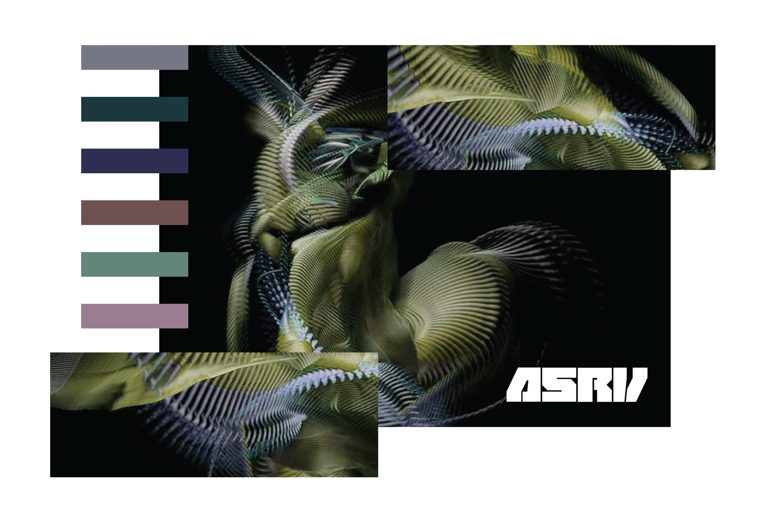 ASRV 2026 WOMENS  PRINTED SUPPORT CAPSULE BW CADS 03031026-04.png