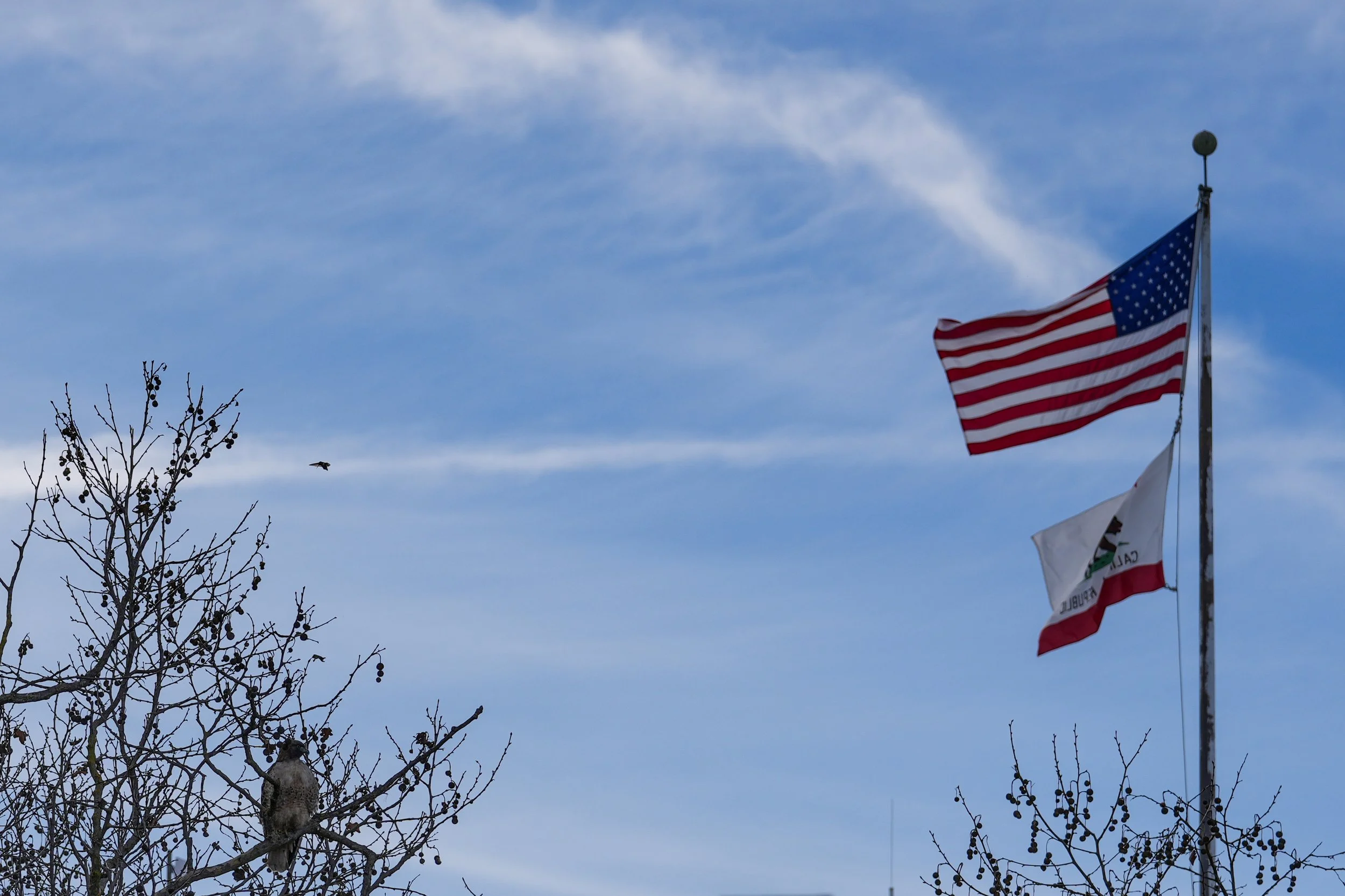 C27939CC-8D0F-4513-AFE5-C19390591073.JPEG