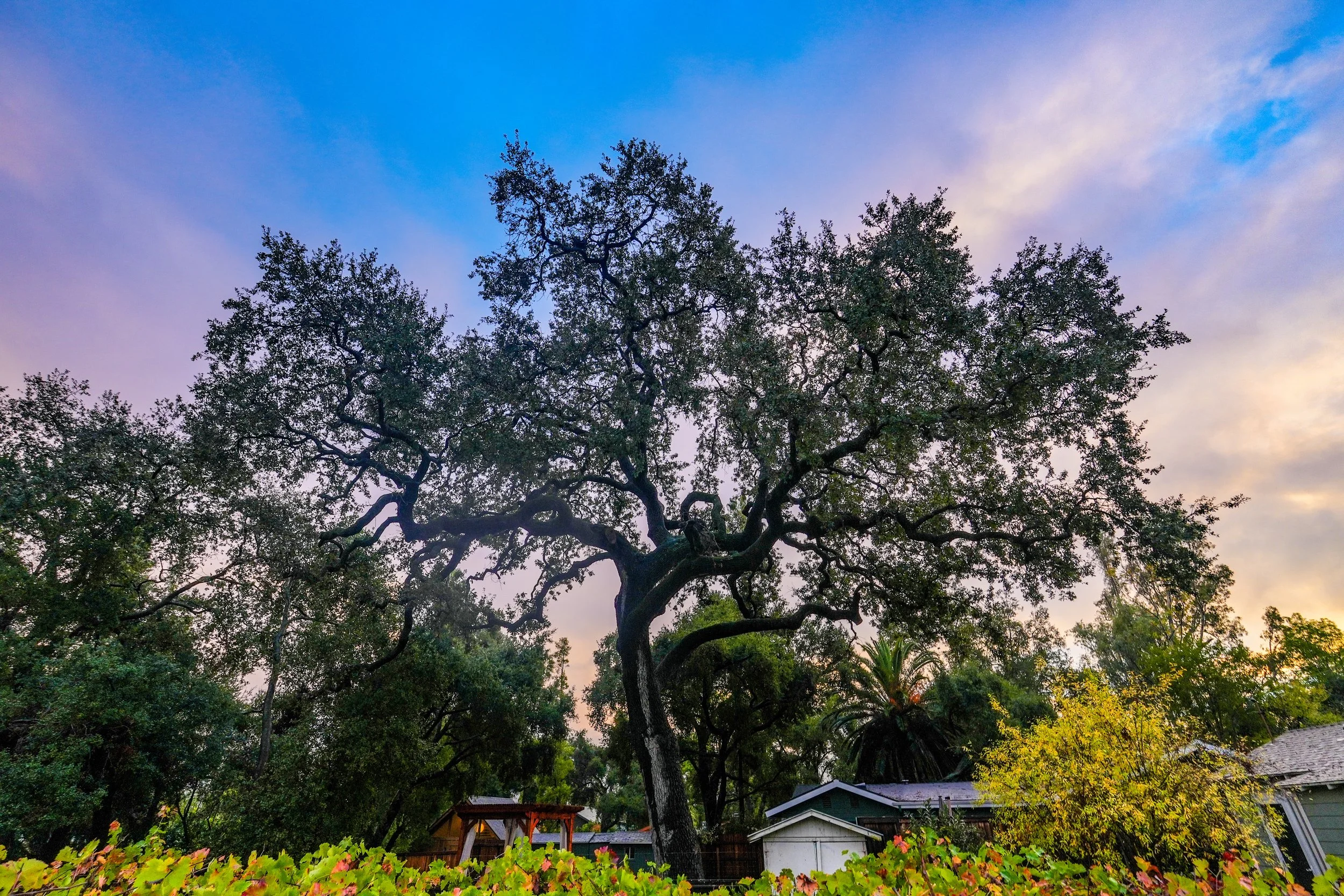 666AFBA1-1FC0-4F24-95F1-E1D3636FC94D 3.JPEG