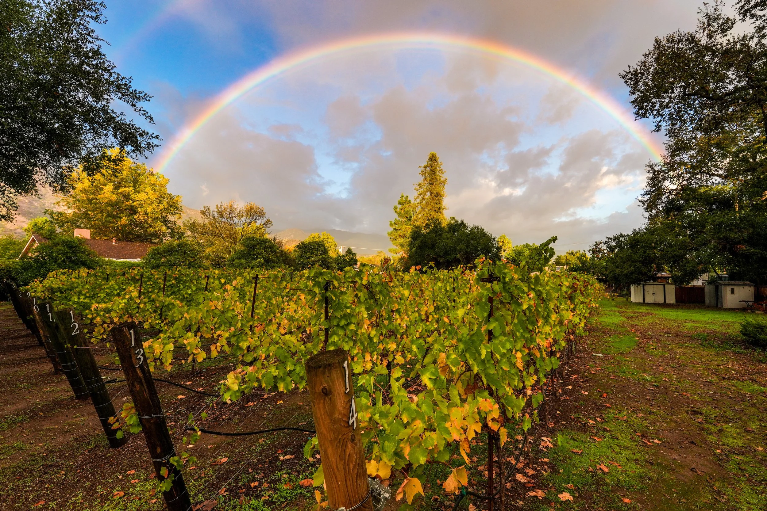 943B0E86-5964-42D1-B5F8-1F9B5FC93587 3.JPEG