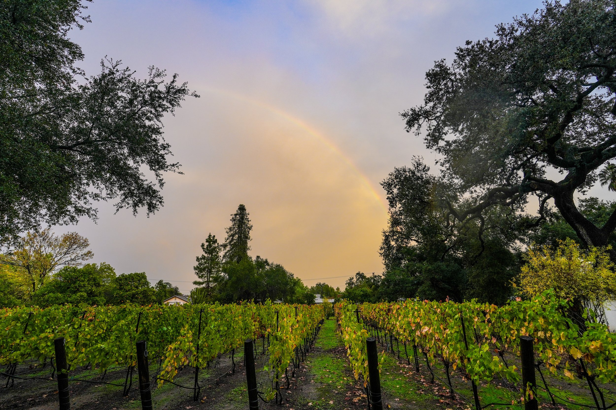 8D7FE9AB-53D6-42C5-B171-FF09106618CA 3.JPEG