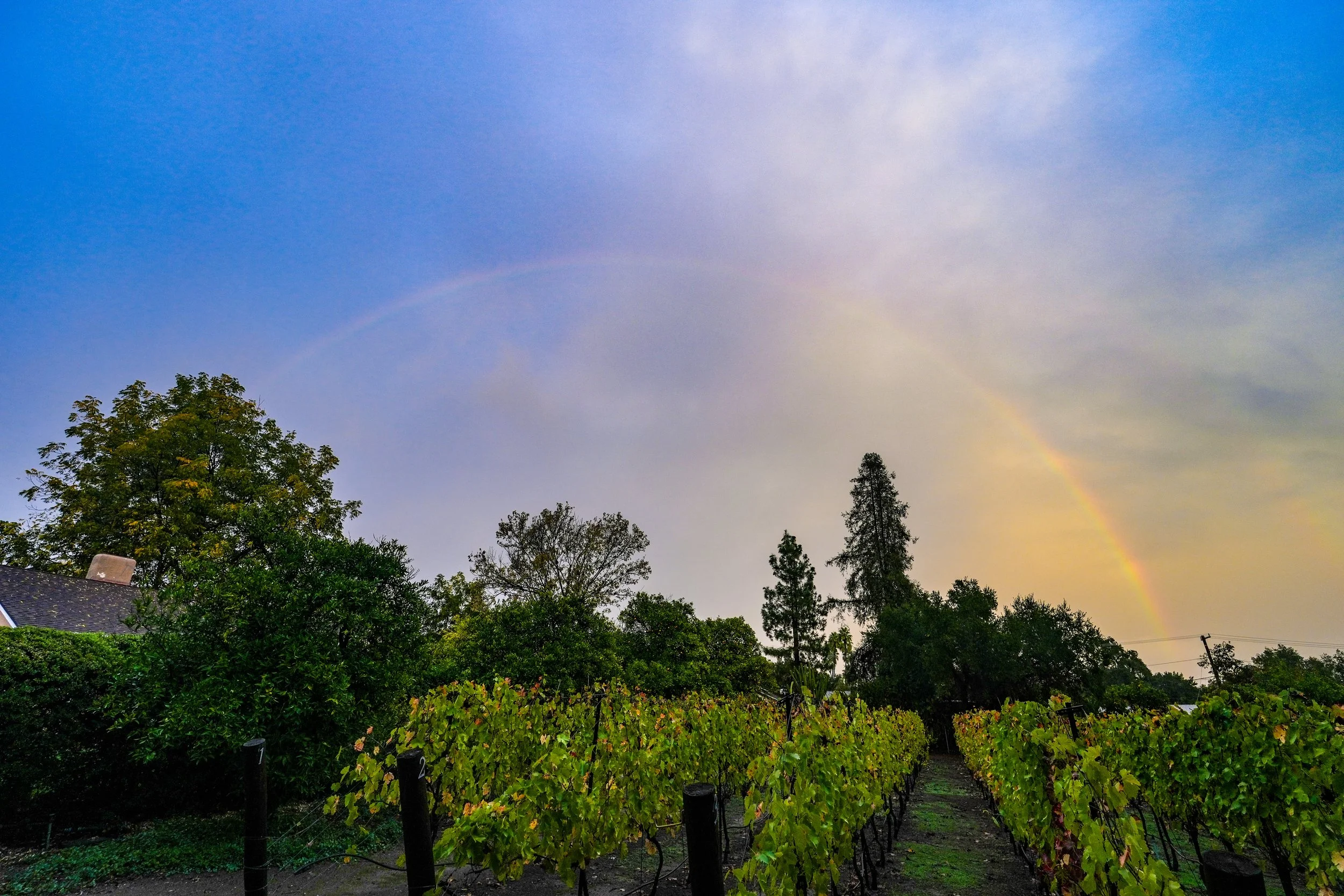 8BD44AAB-5559-4C02-B115-02D65FEEC6AF 3.JPEG