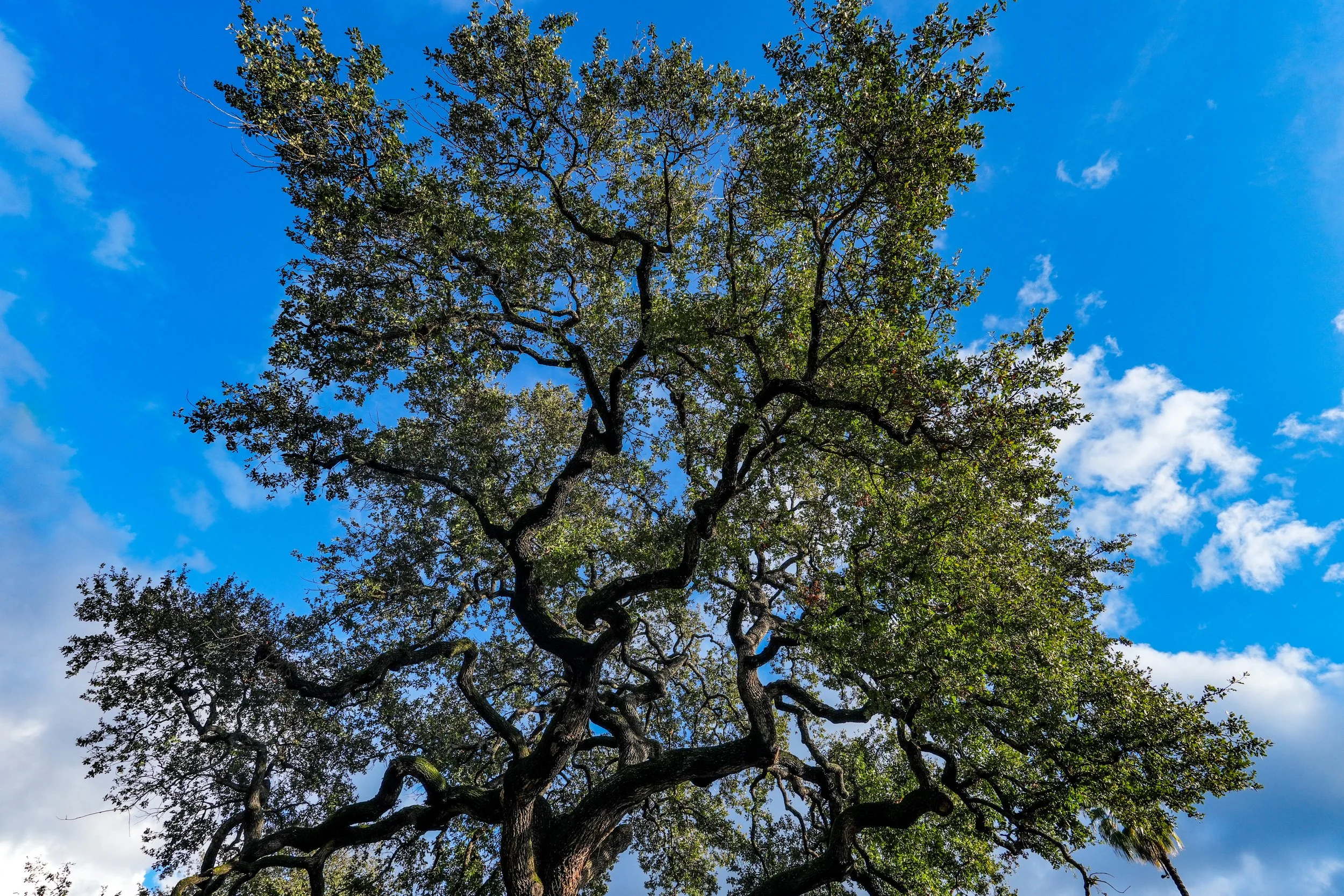 9FB0DBD2-2598-4774-B915-7EEA6B99293C 3.JPEG