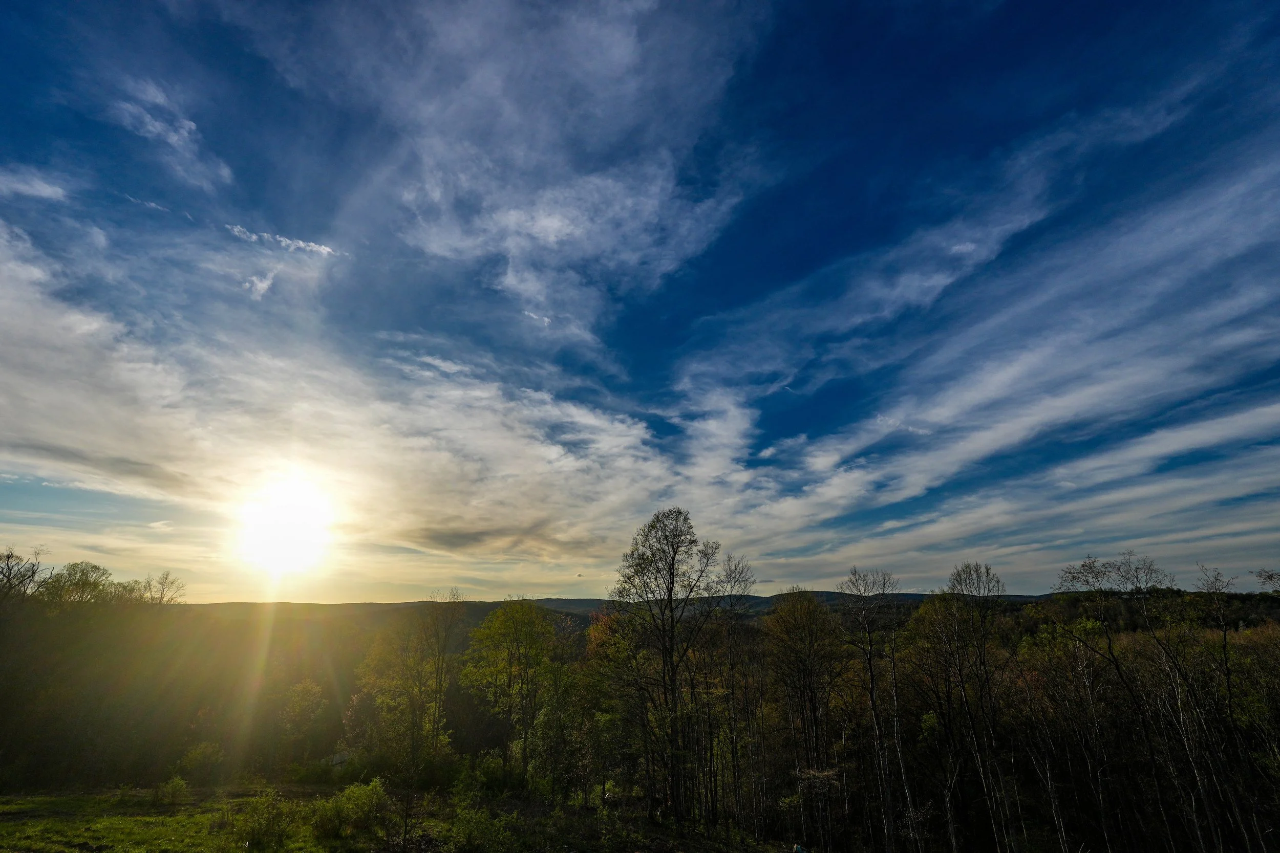 6AB79AEB-66BD-497B-ADFF-AA85D7D0E491 2.JPEG