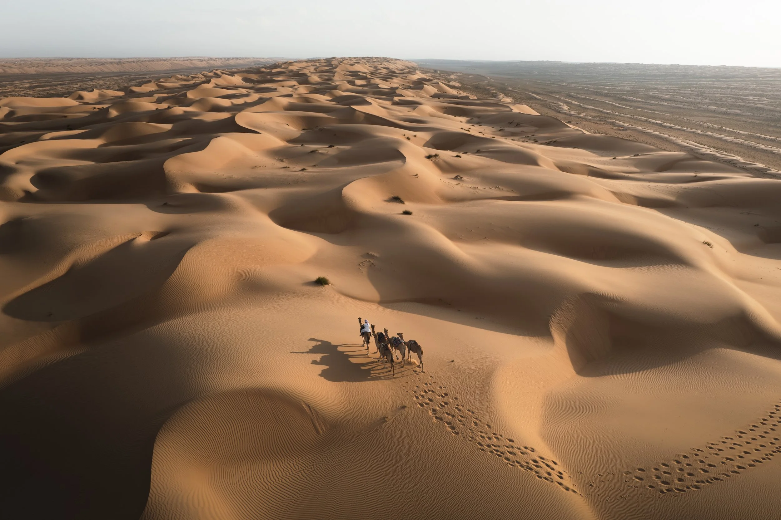 A group of three camels with riders walking across a vast desert with sand dunes and footprints visible on the sand.