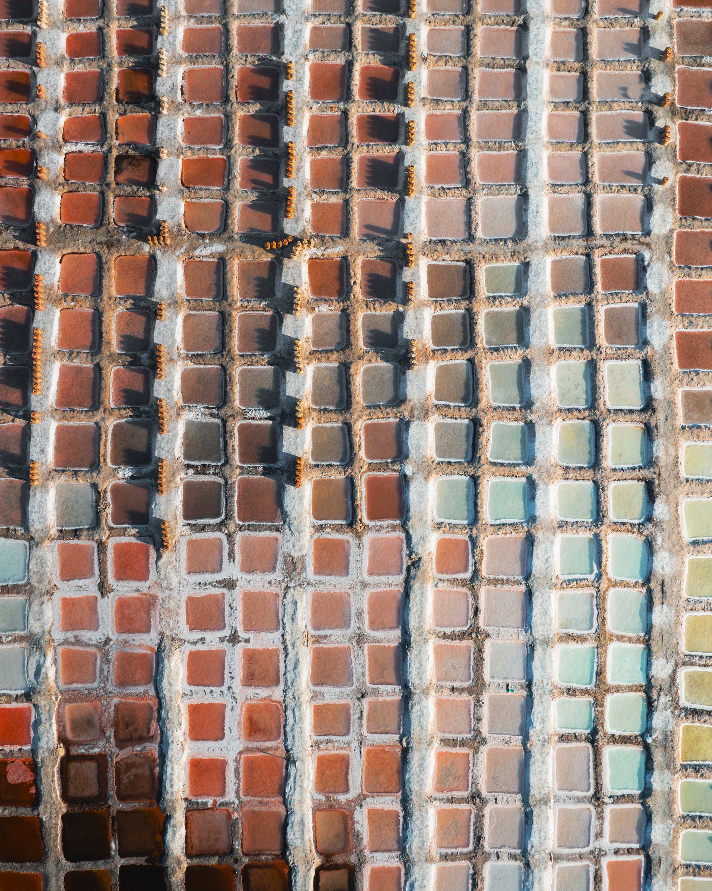 Close-up aerial view of a grid of colorful bricks with shadows cast by small orange and black bees walking across the tiles.