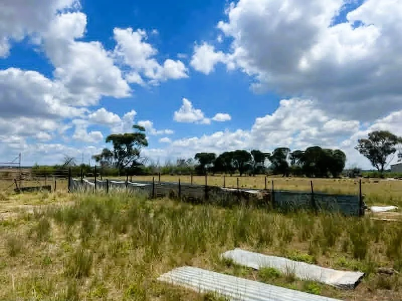 Open grassy field with a thin fence, scattered trees under a partly cloudy sky.