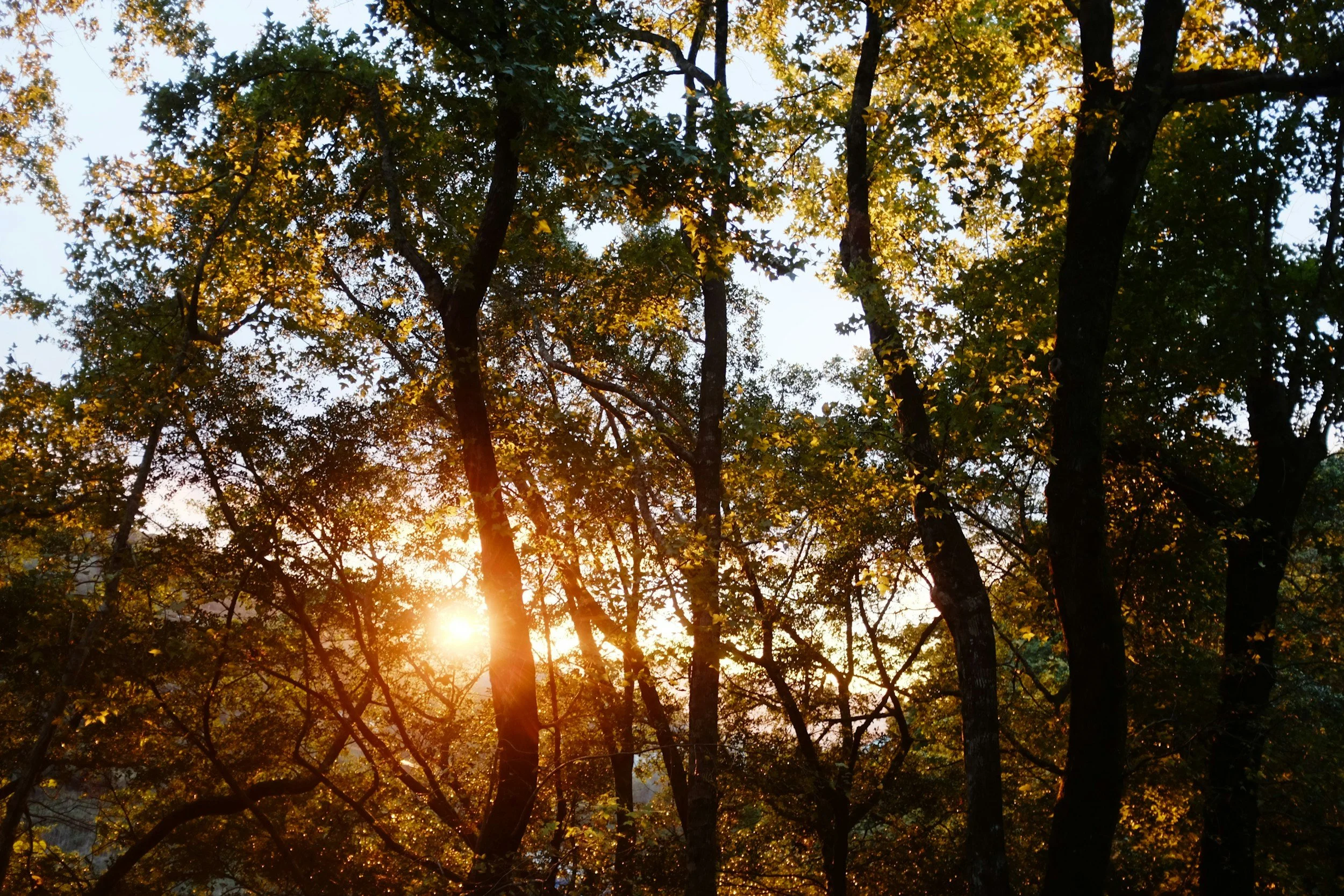 What behavior stole the most energy today?