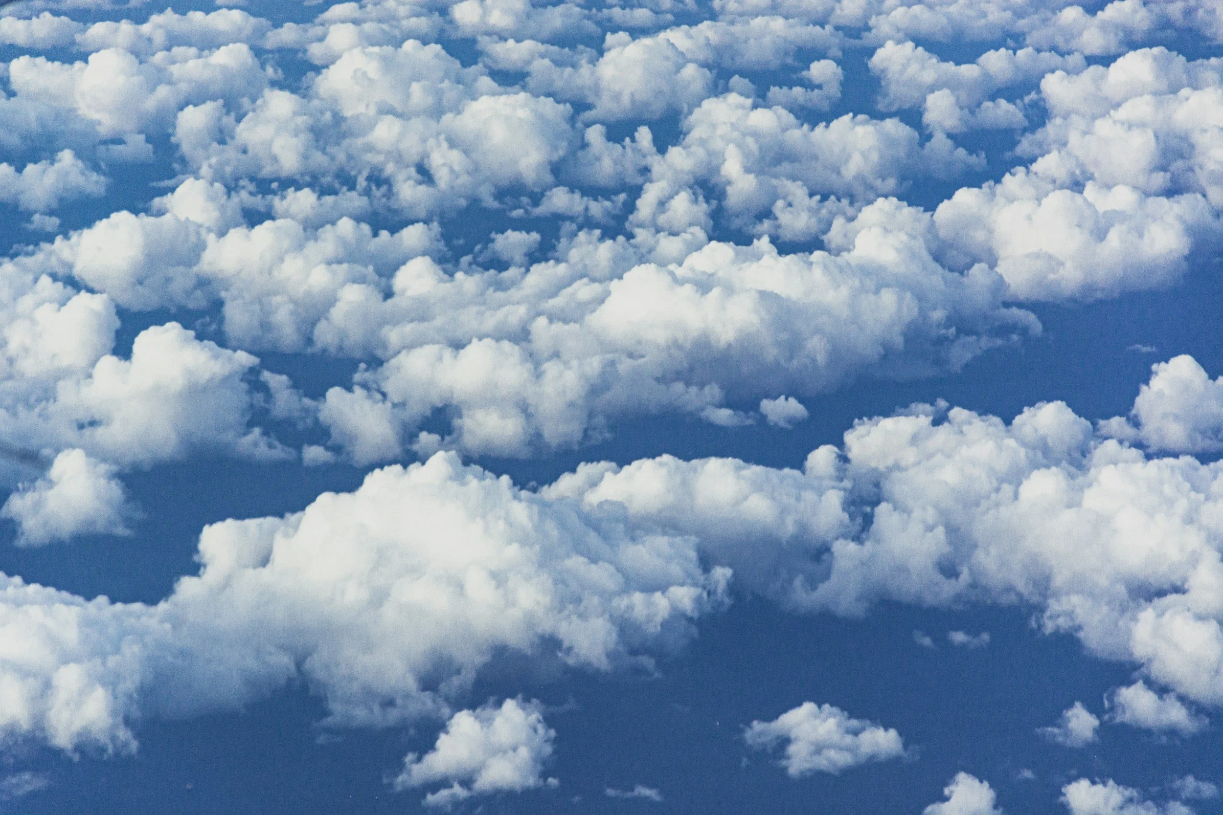 What evidence did I ignore today?