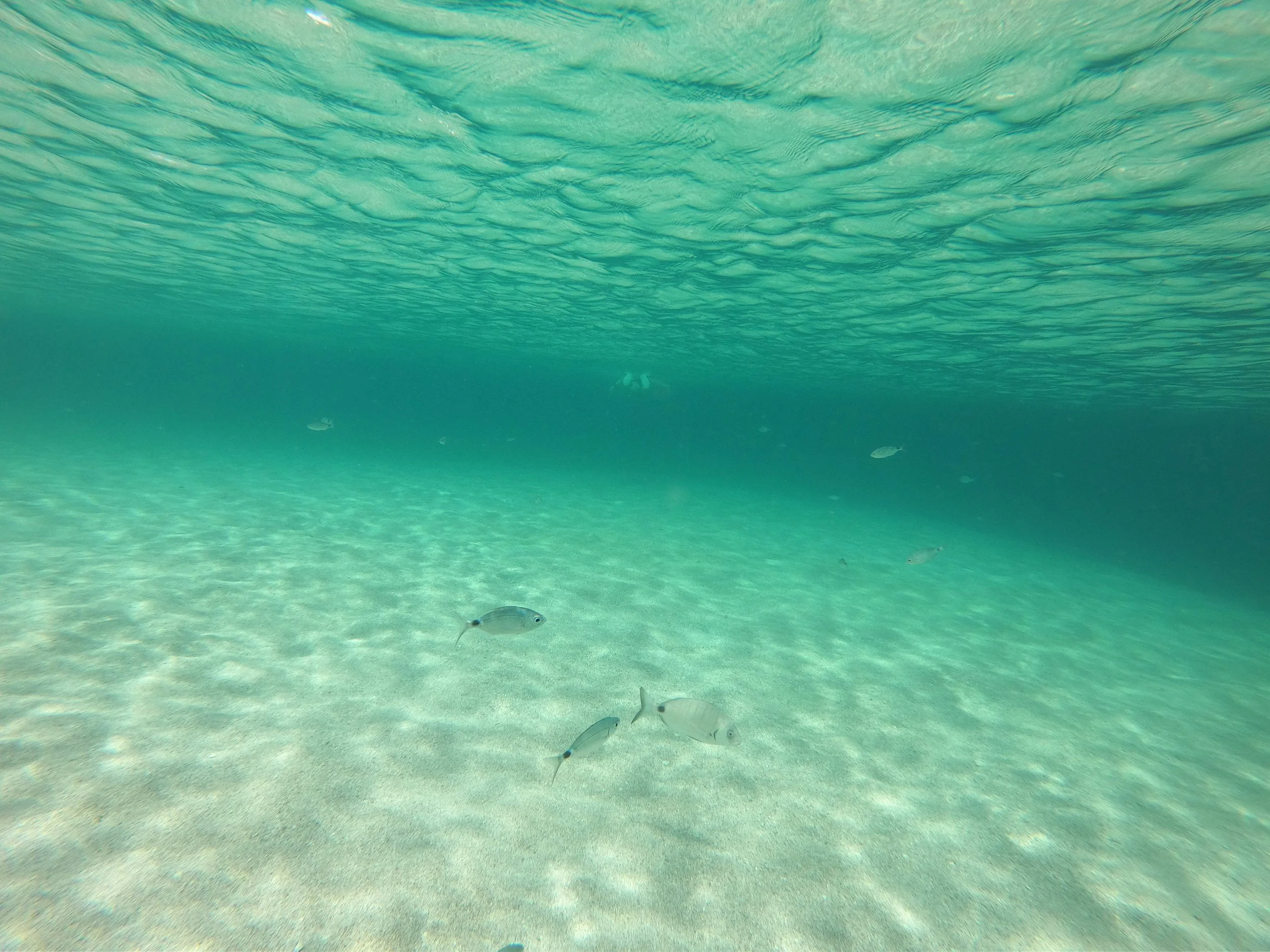 What emotional wound is being activated right now?