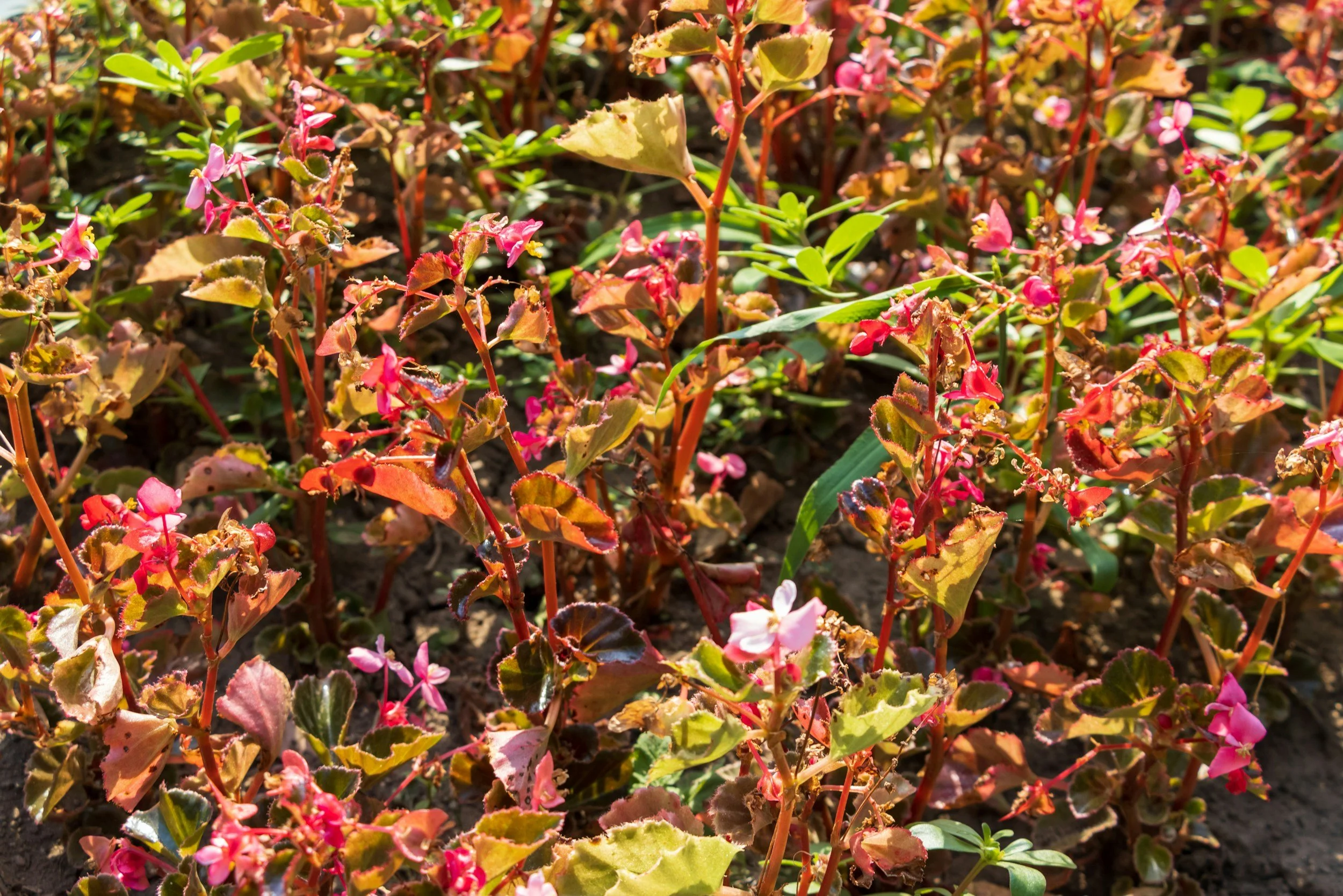 Why Sustainable Success Feels “Quieter”