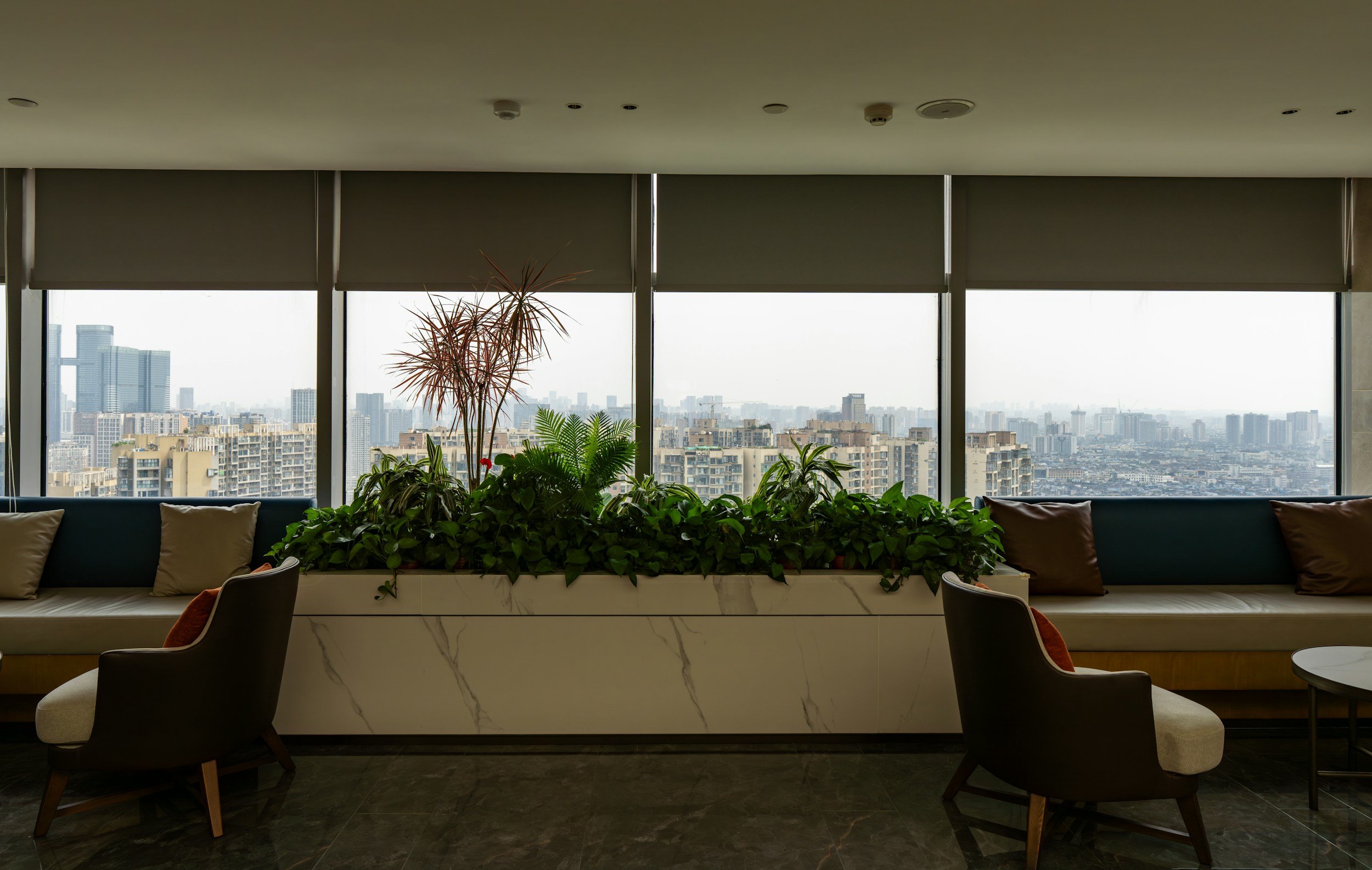 Regulation and Self-Trust