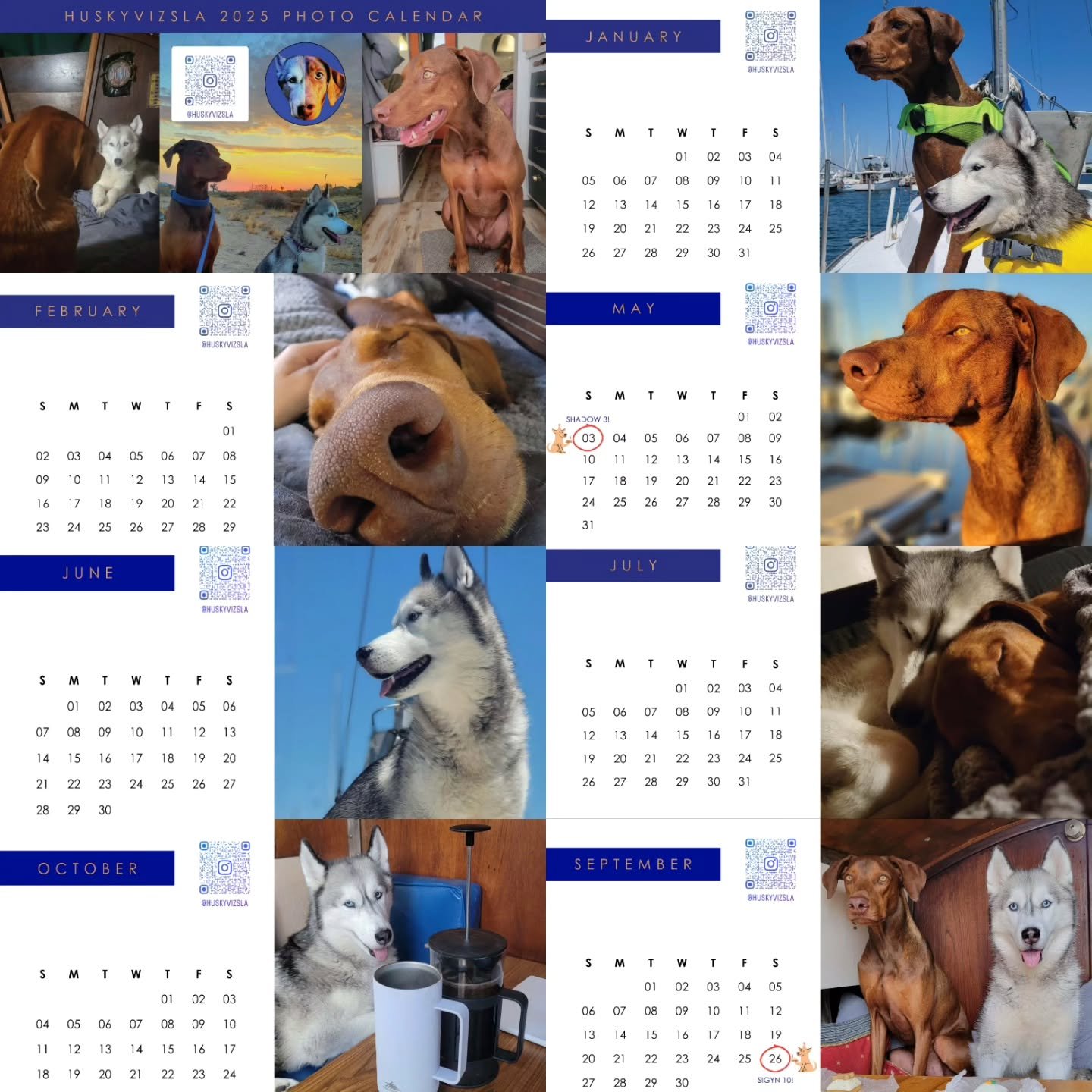 New Free 2025 Photo Calendar available on www.HuskyVizsla.com (link in bio)!

I got a lot of positive feedback on the calendar I made last year, so I wanted to give out a new version with some of my favorite pictures of Shadow and Sigyn from our firs
