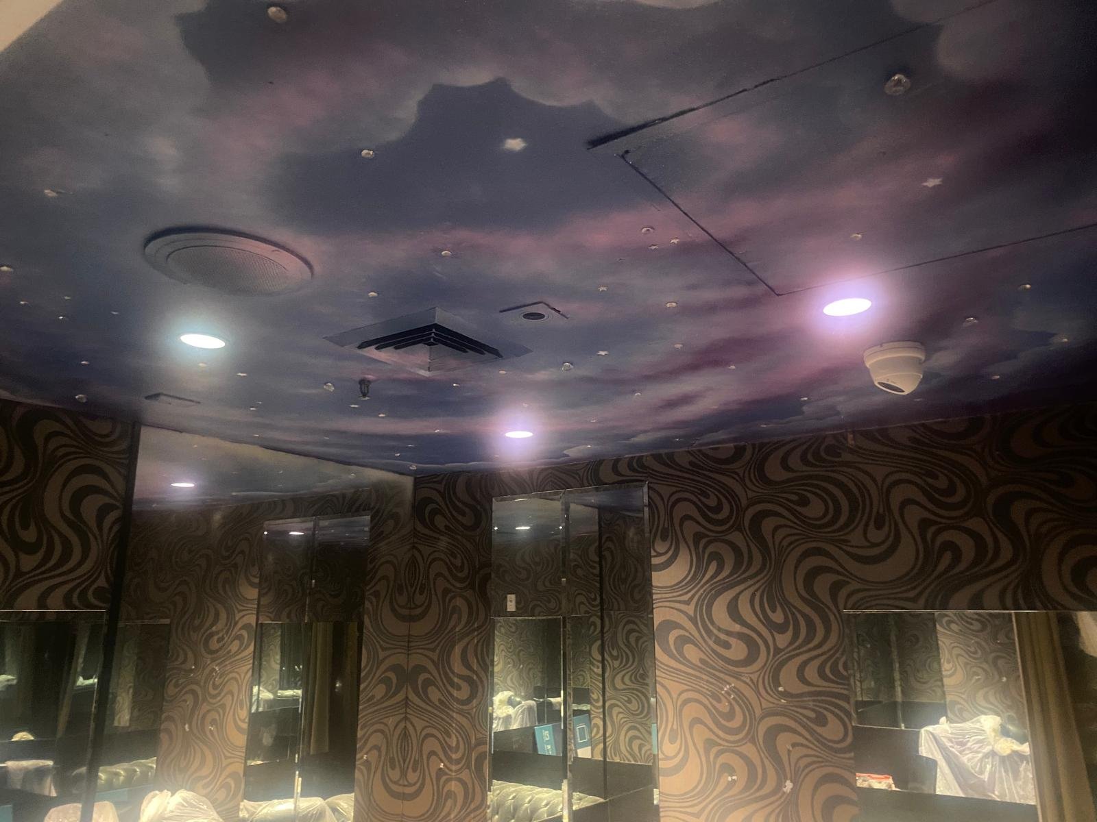 CEILING EFFECTS 2.jpeg