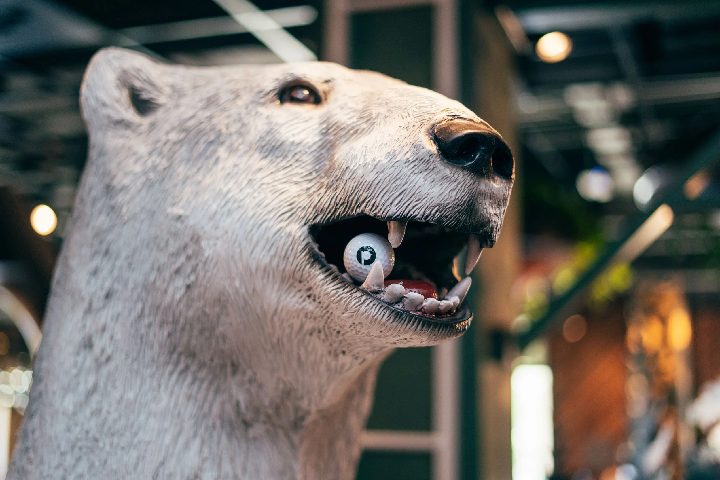 Puttery Outing 9-30-22-07223.jpg